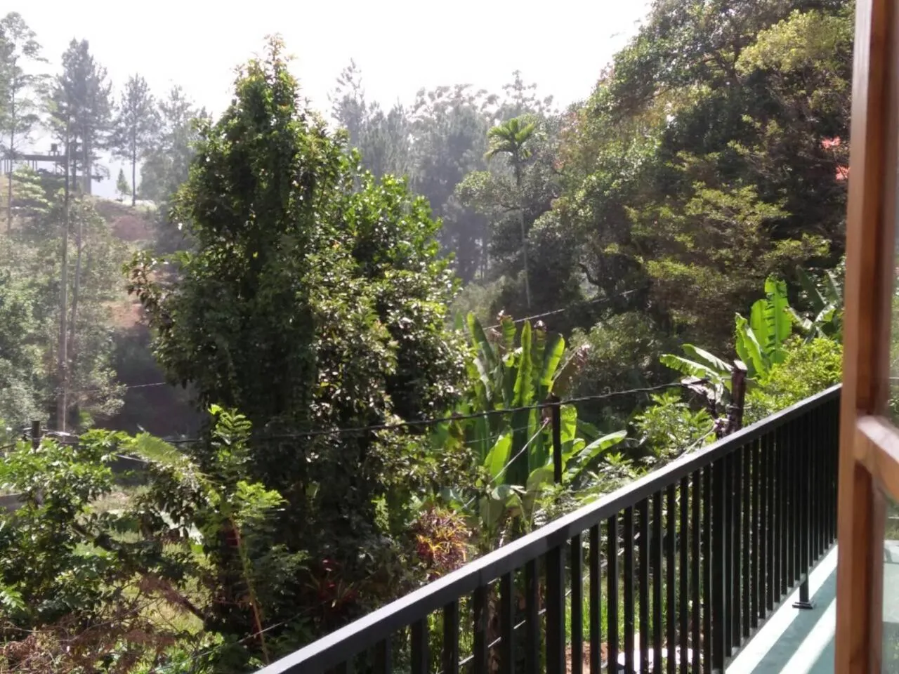 Garden view in Misty Elegance - Ella.