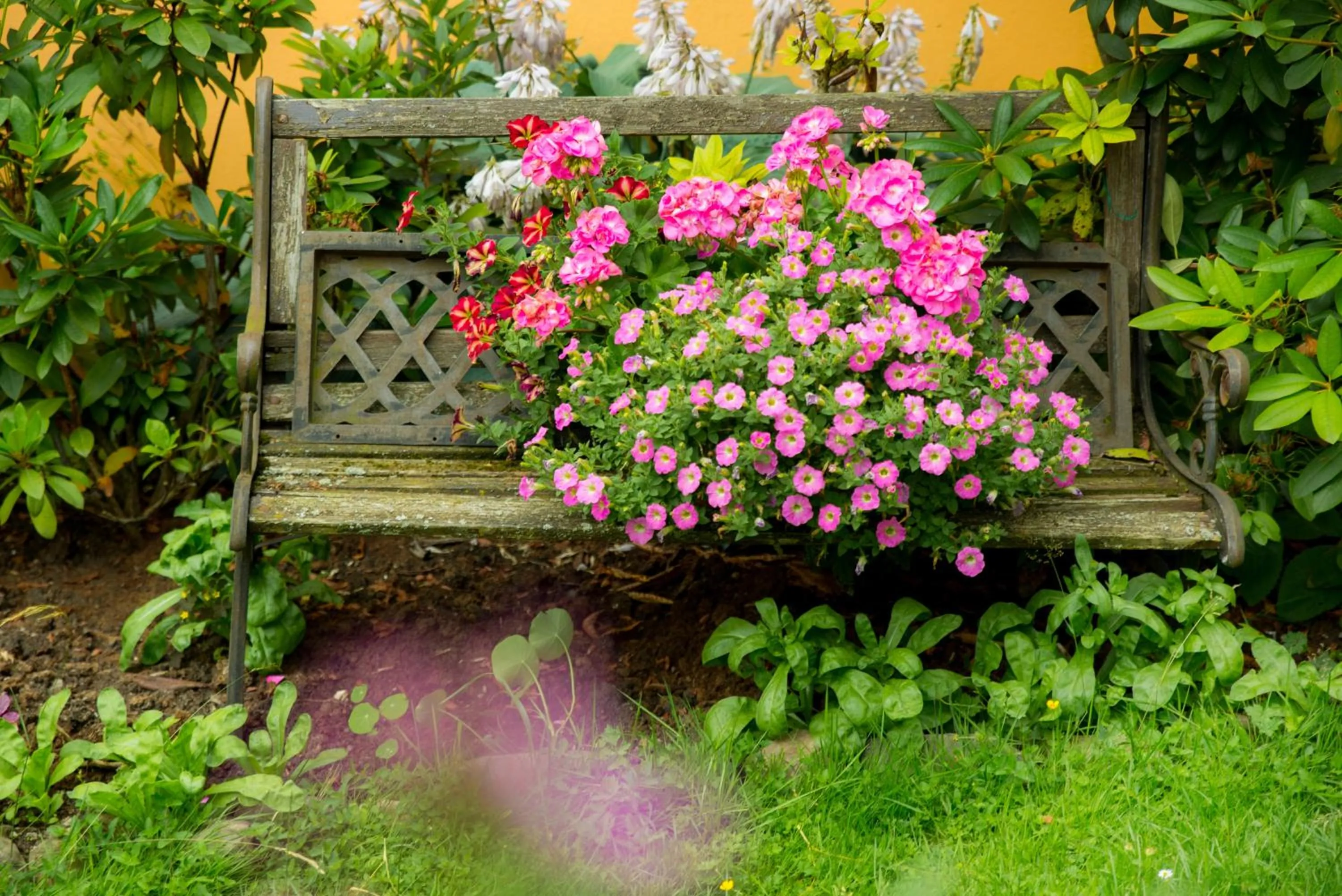 Garden in Ferienapartments Schnibbe
