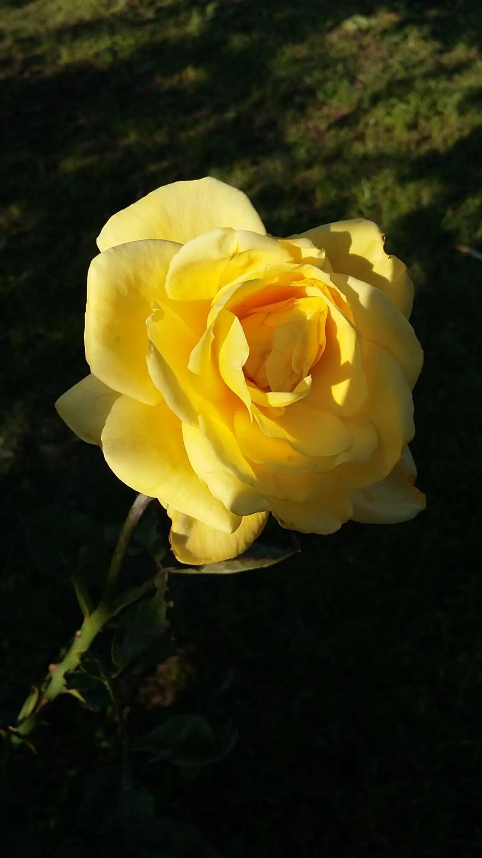 Garden in Agriturismo Corte Carolina