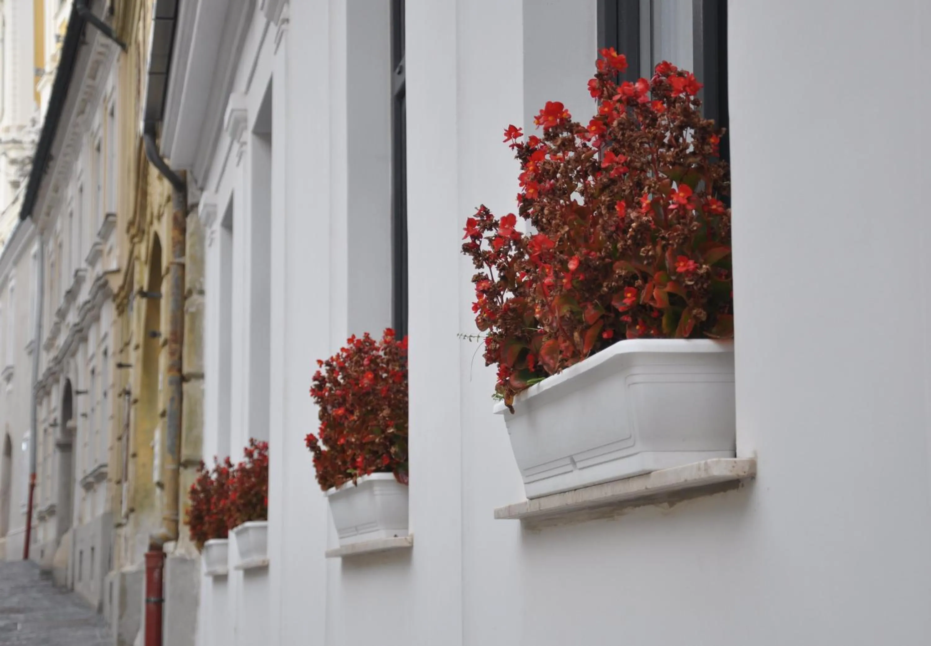 Property building in Centrál Vendégház Székesfehérvár