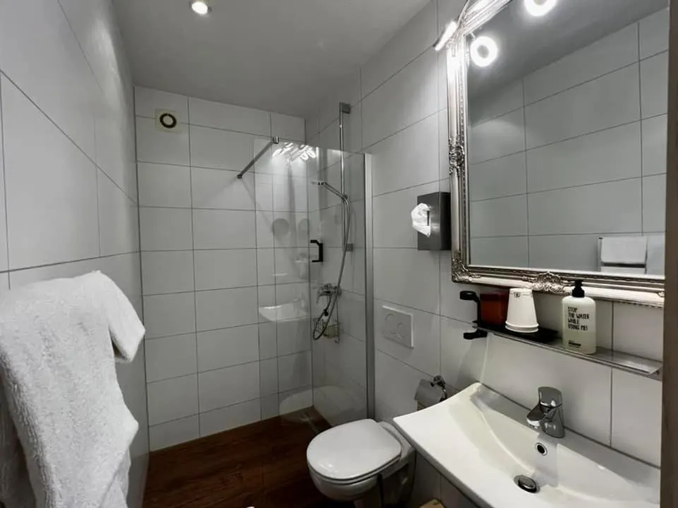 Bathroom in Boutique Hotel & Bio Wirtshaus Schwarzer Bock