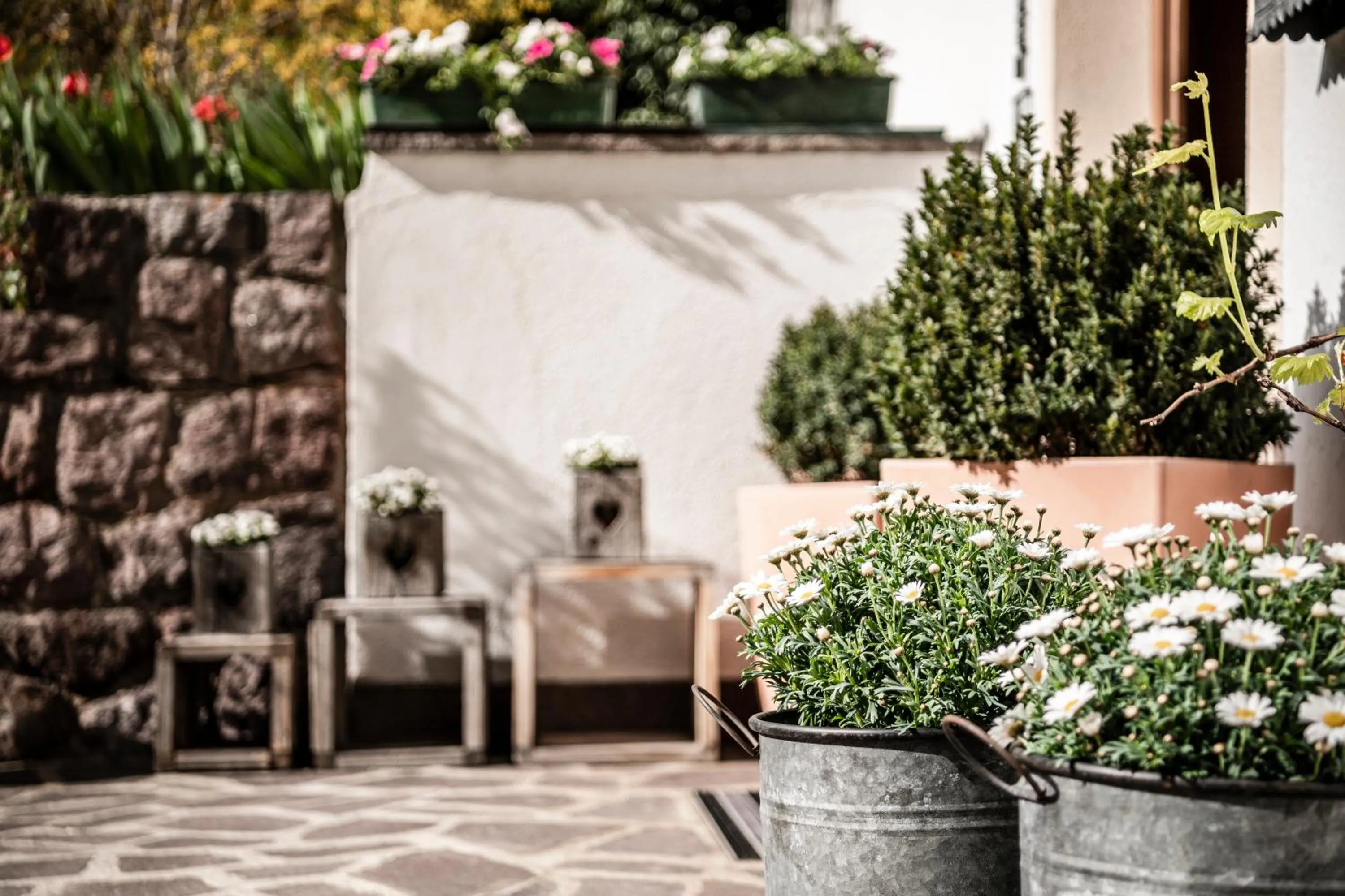 Patio in Raschötzhof