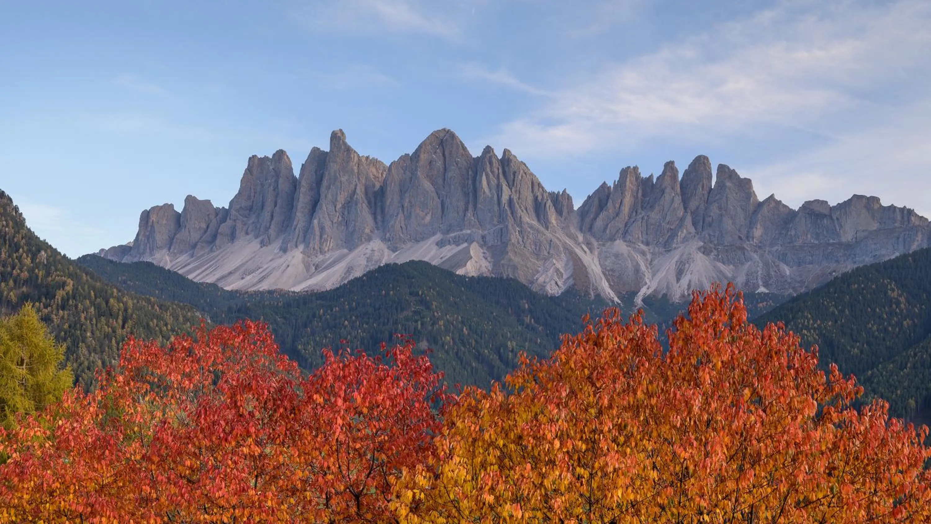 Natural landscape in Raschötzhof