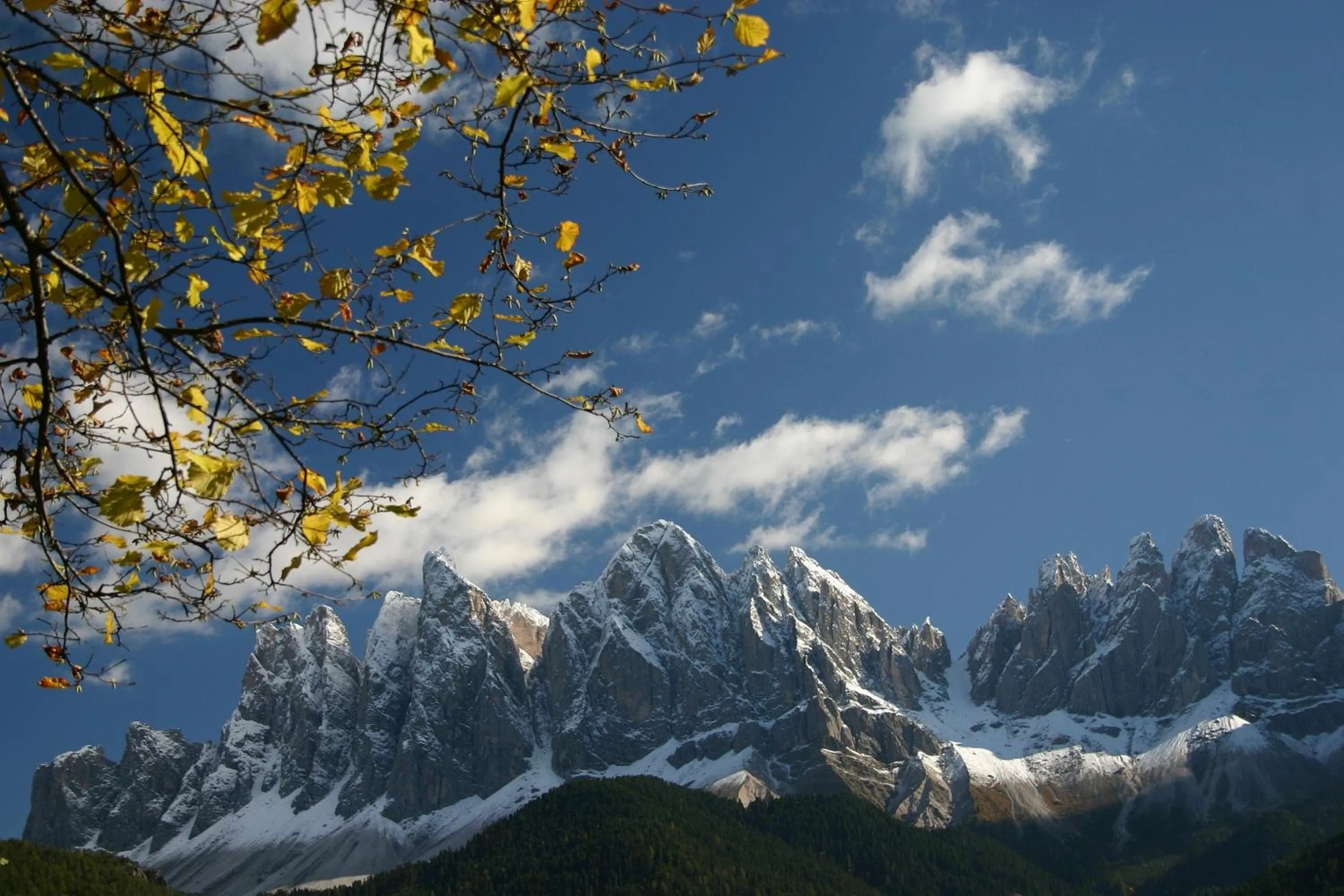Natural landscape in Raschötzhof