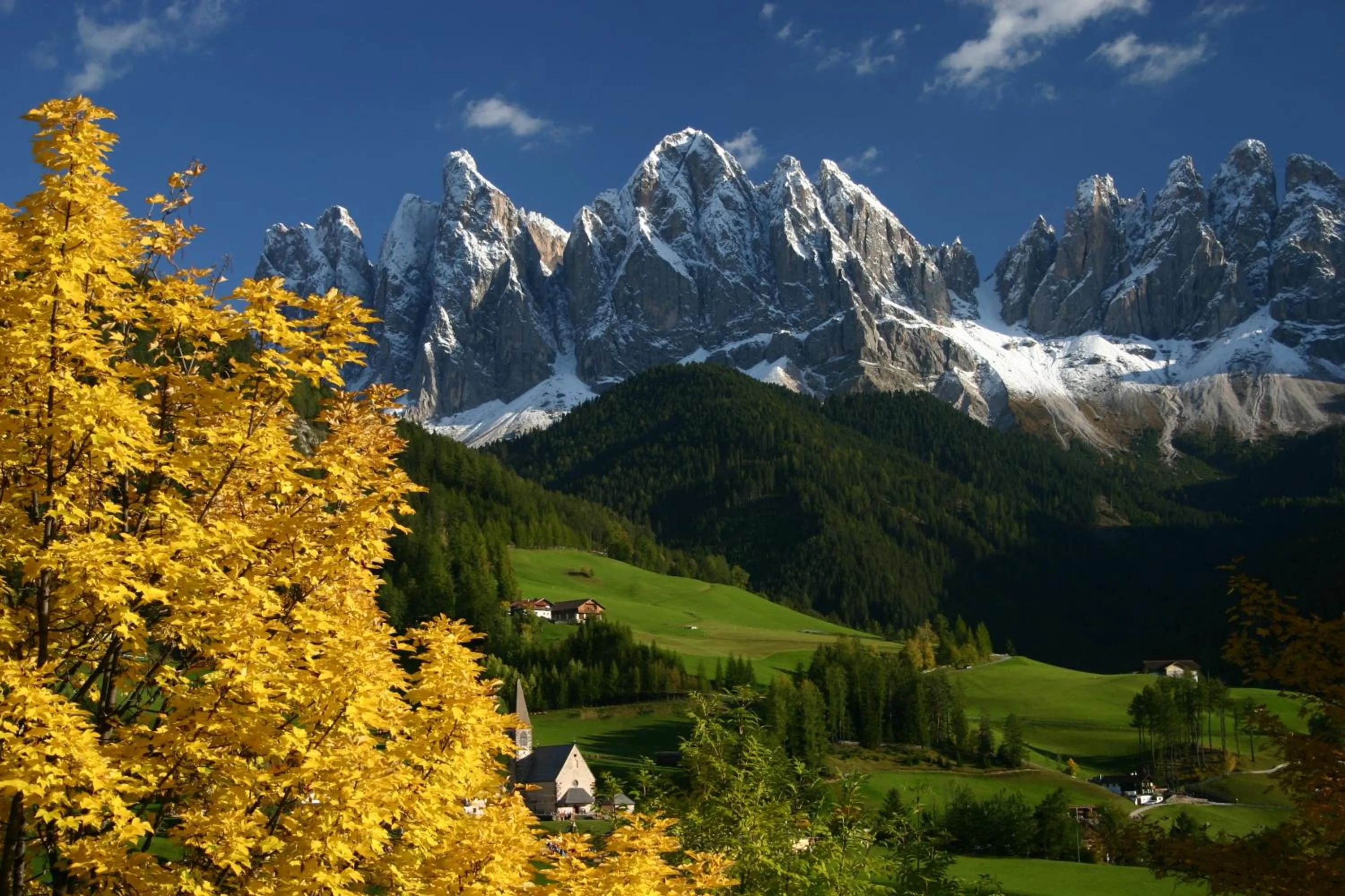 Natural landscape in Raschötzhof