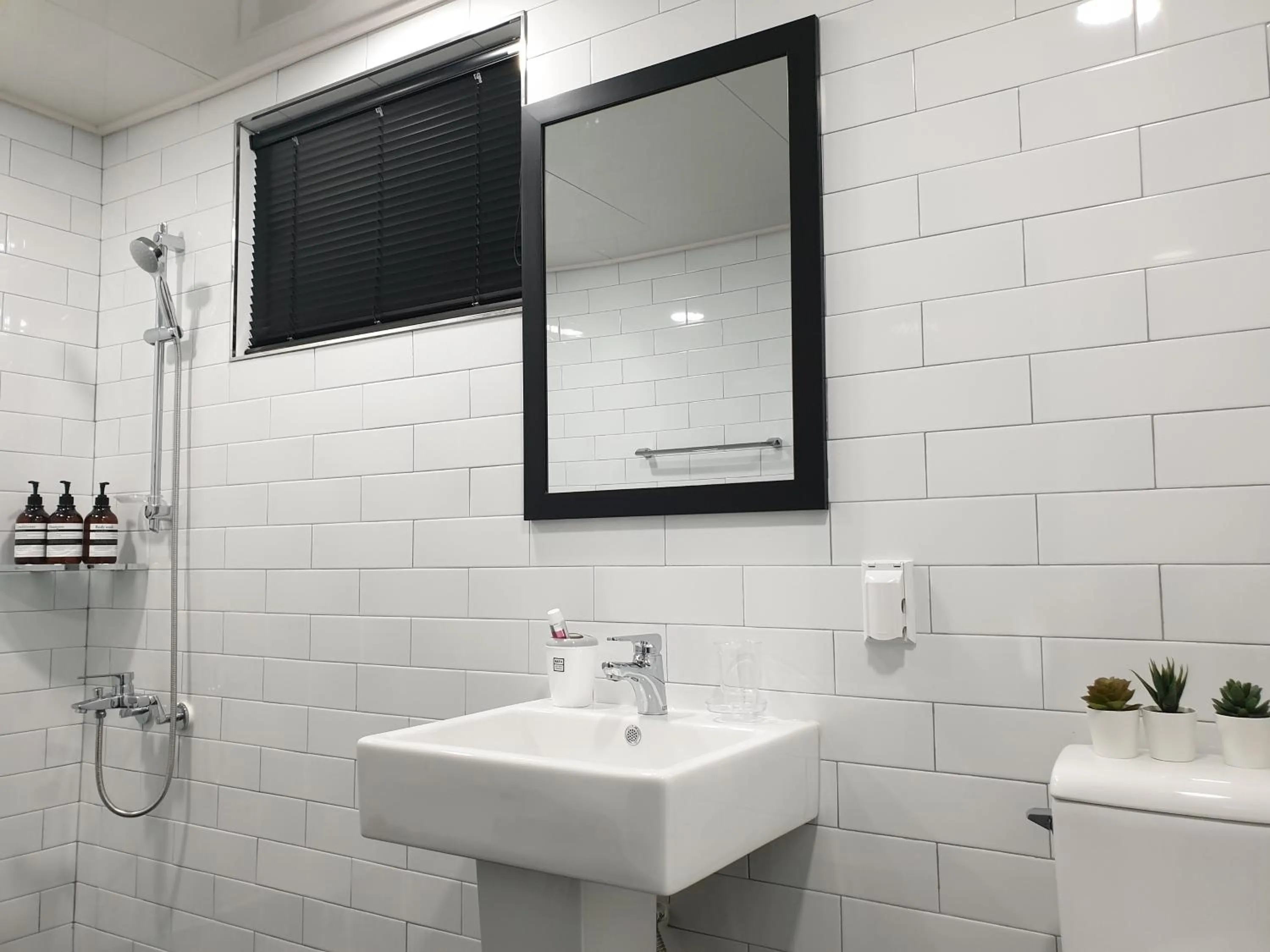 Shower in Daon House