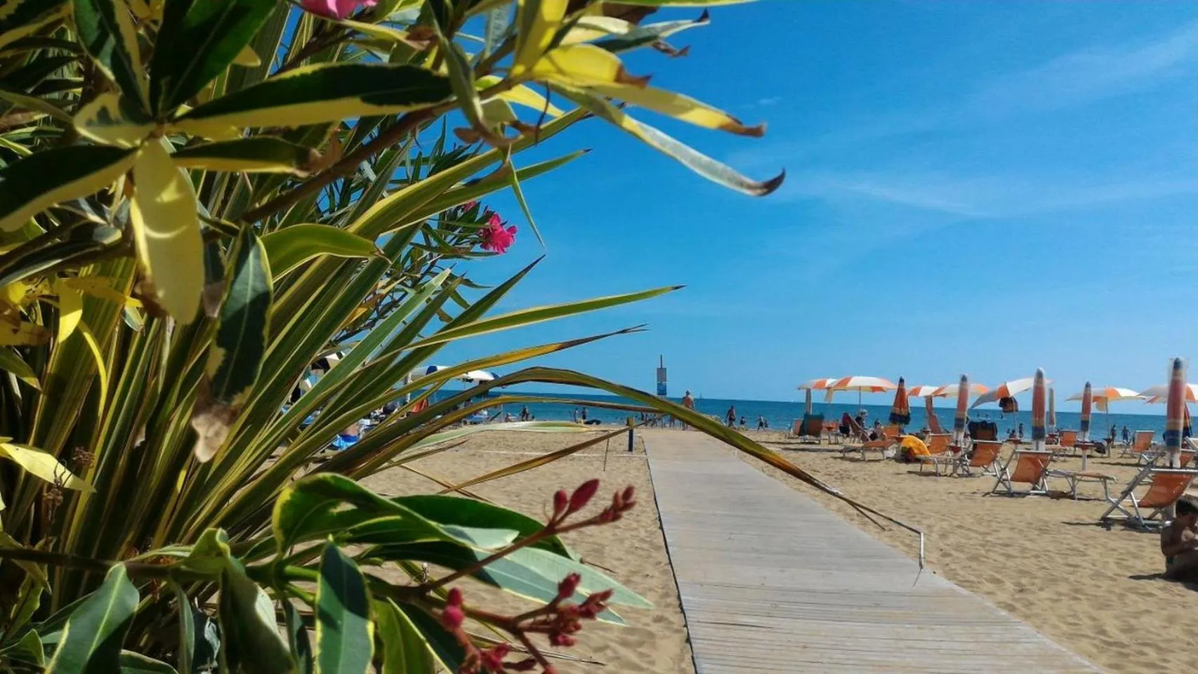 Beach in Appartamenti Villa Angela