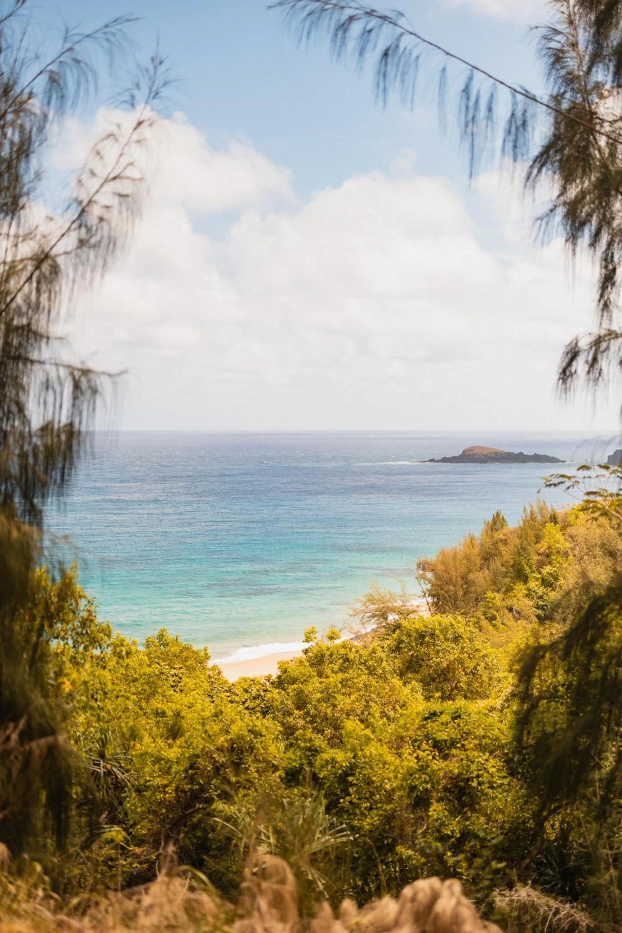 Beach in The Cliffs at Princeville