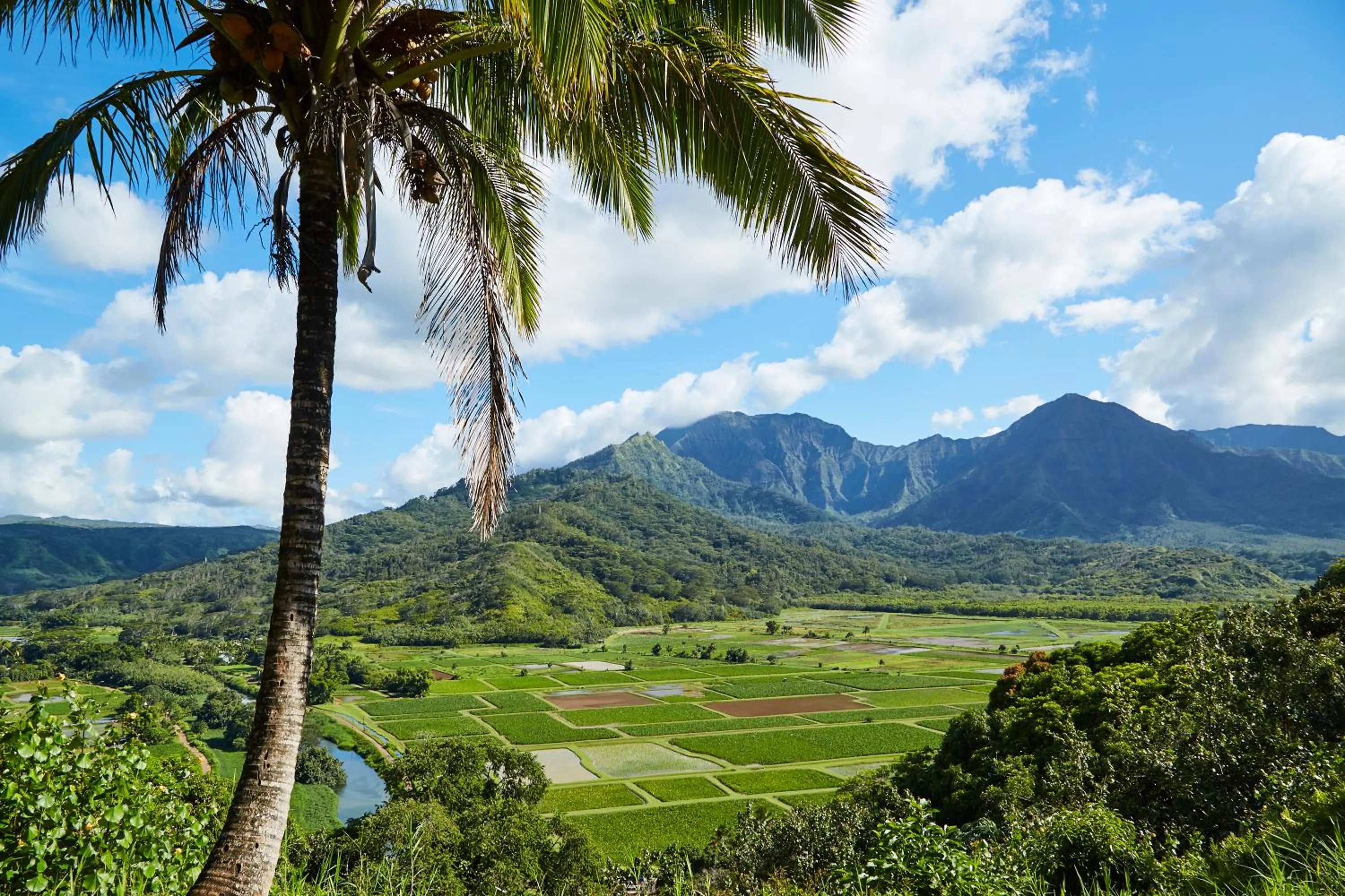 Nearby landmark in The Cliffs at Princeville