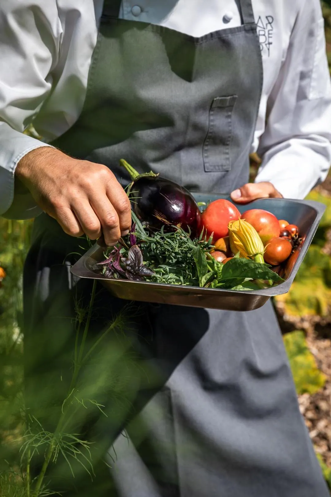 Garden in Maison Aribert