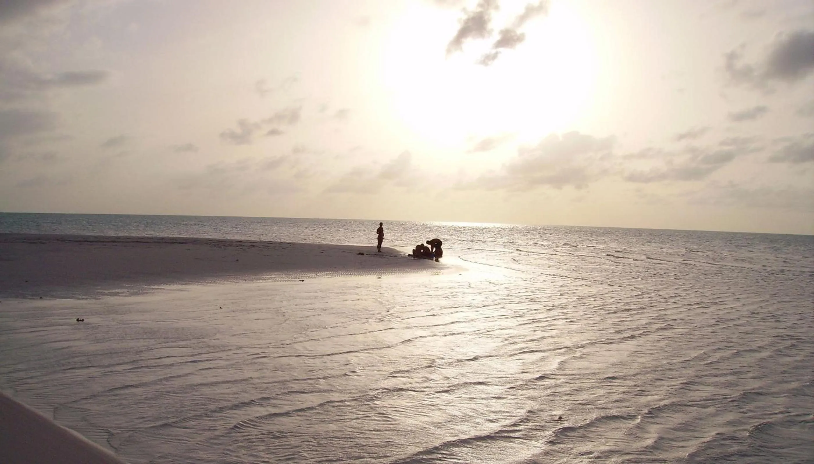 Other in Paradise Bay Bahamas