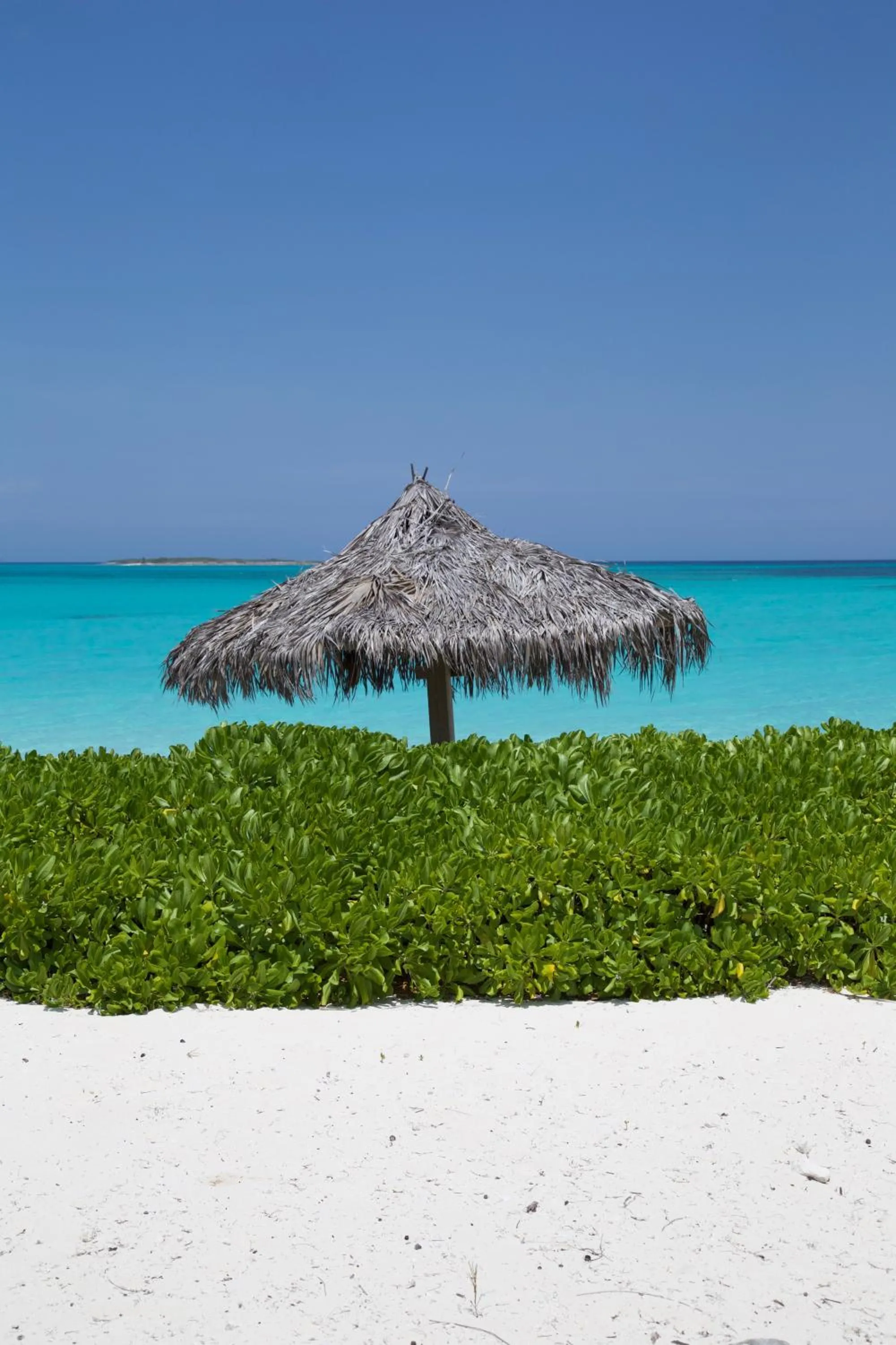 Beach in Paradise Bay Bahamas