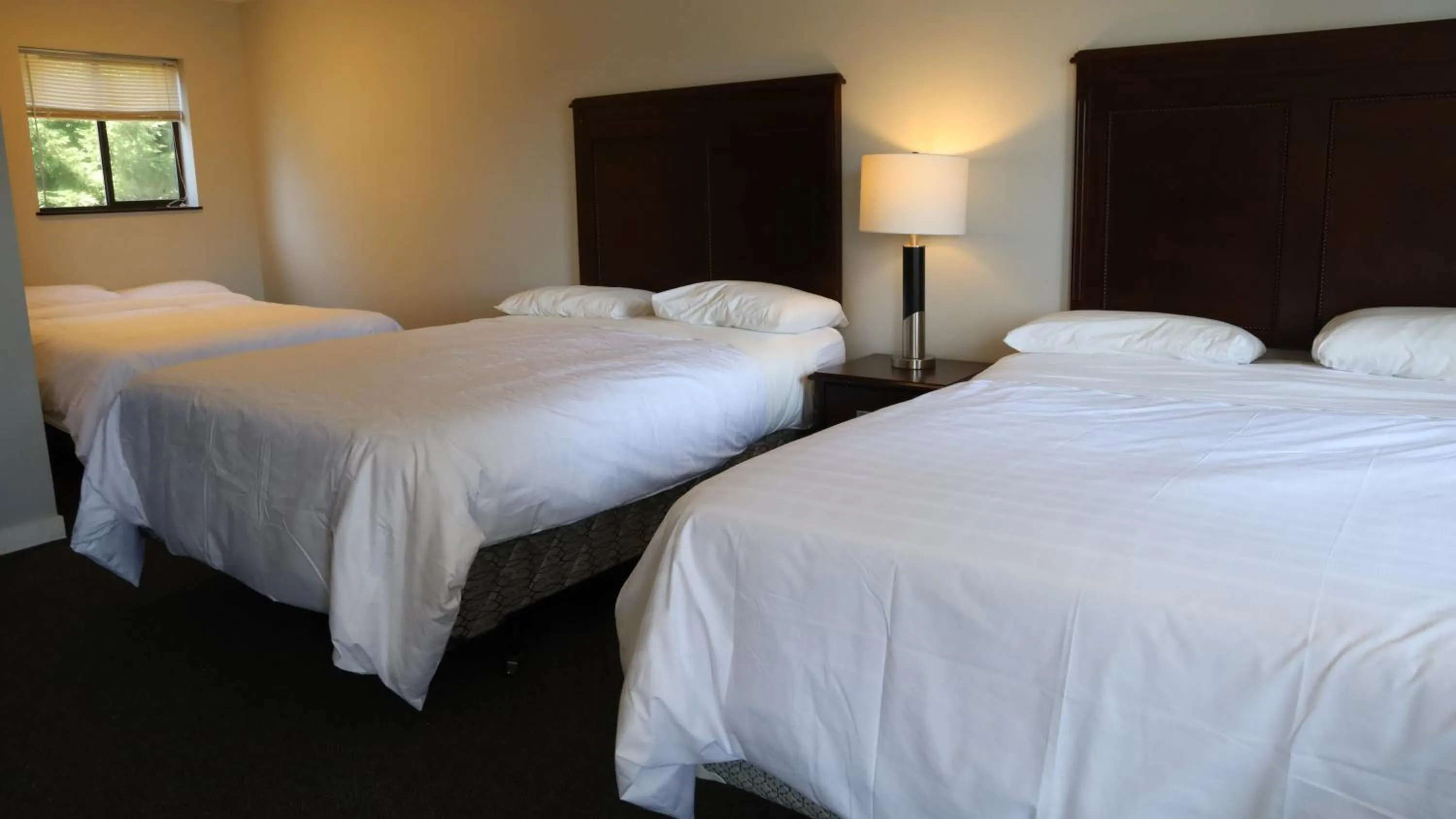 Bed in Skylite Motel