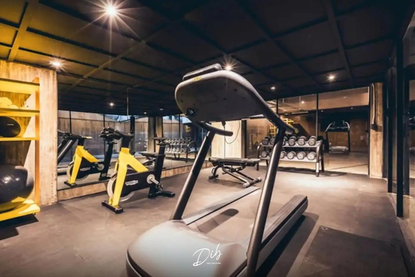 Fitness centre/facilities in DIB Collection - Modern Stays in Roma Norte