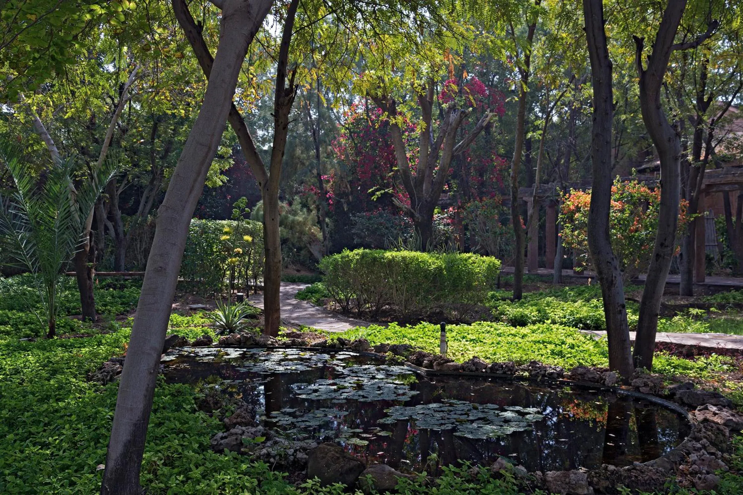 Garden in MANVĀR Resort & Desert Camp