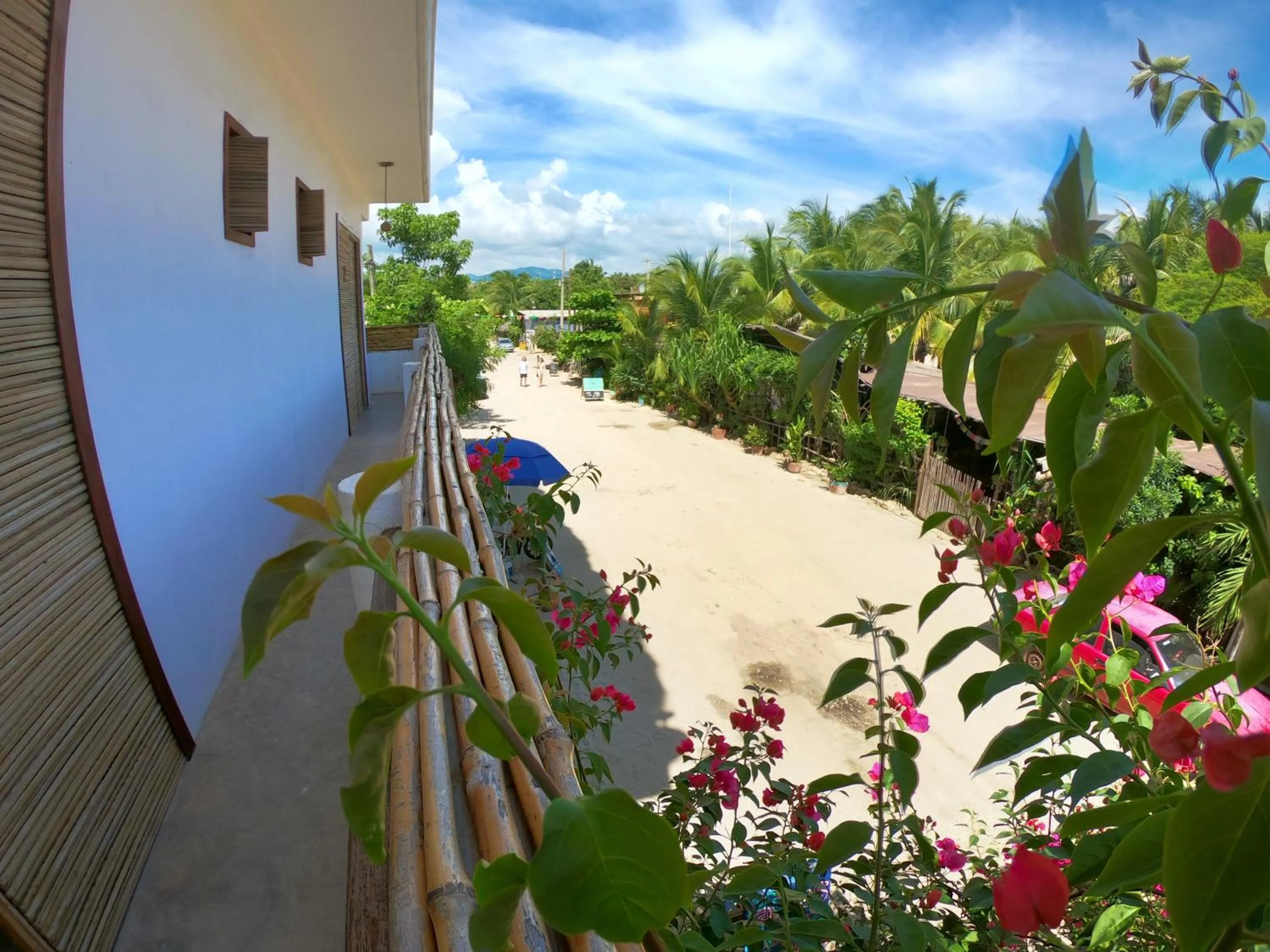 Bikini Beach House