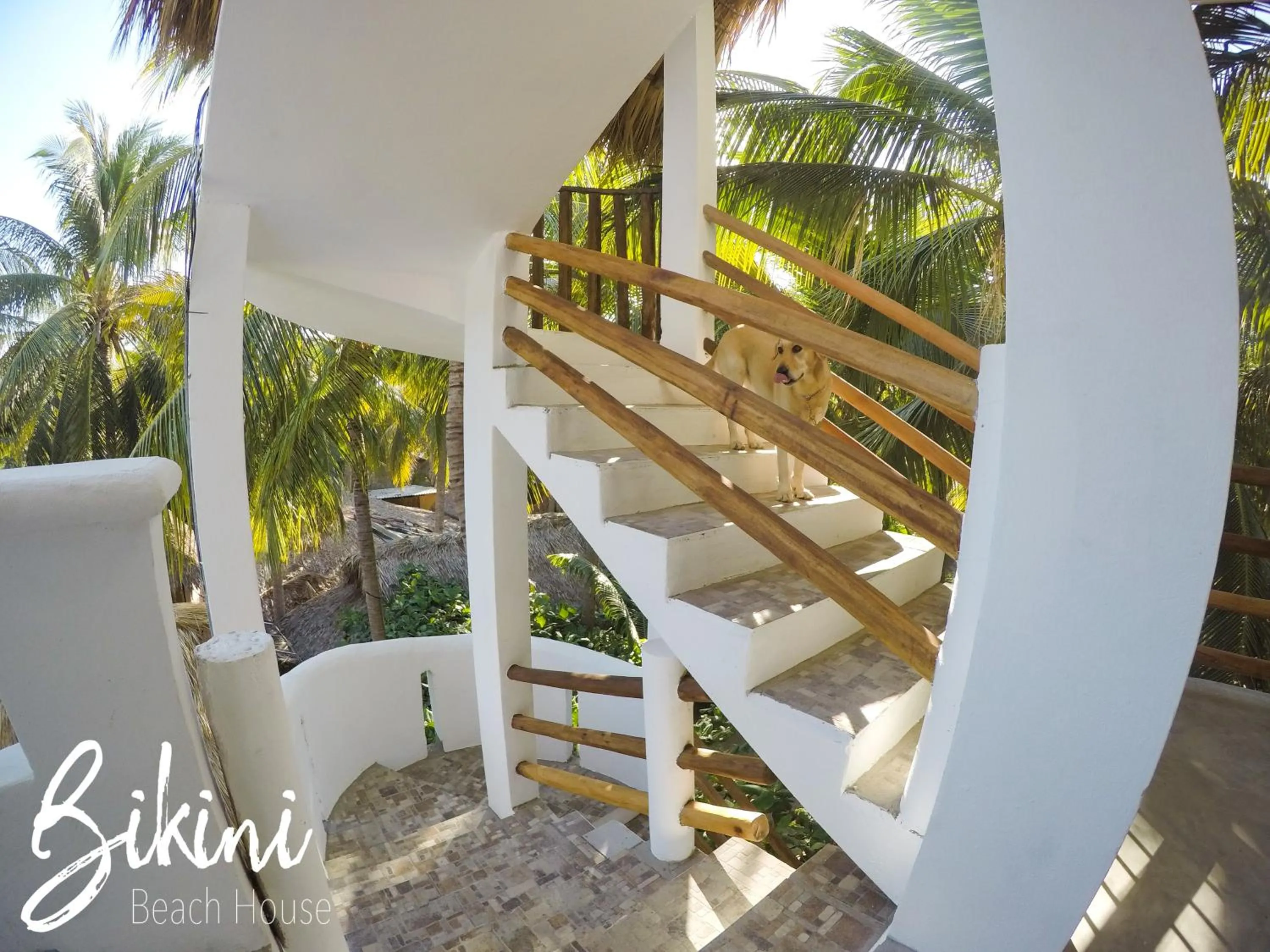 Bikini Beach House