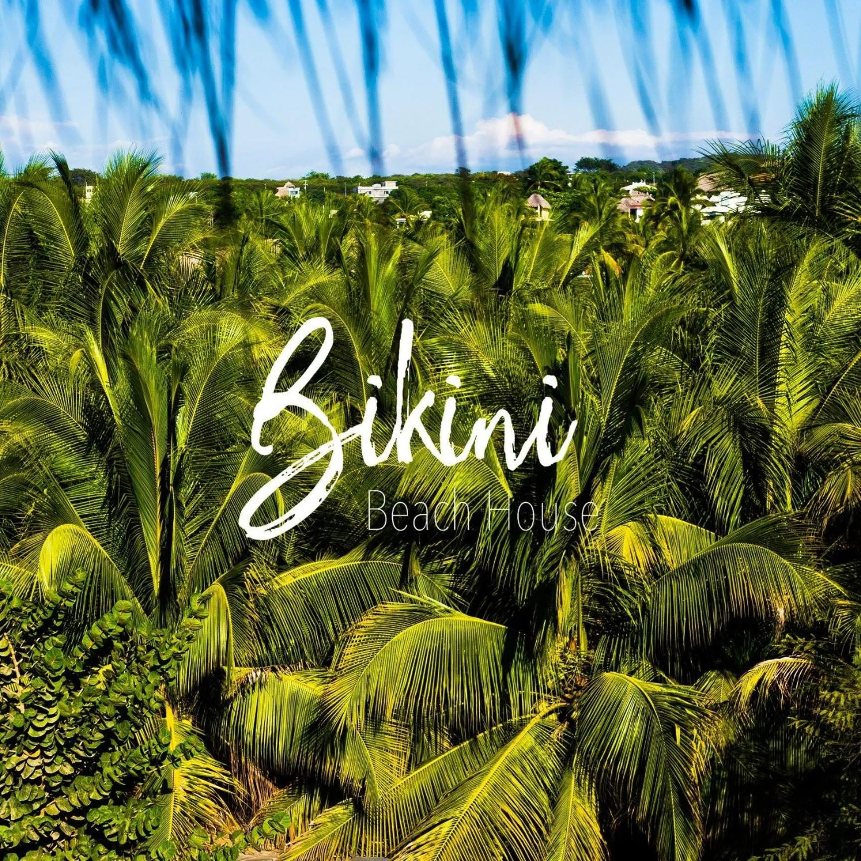 Garden view in Bikini Beach House