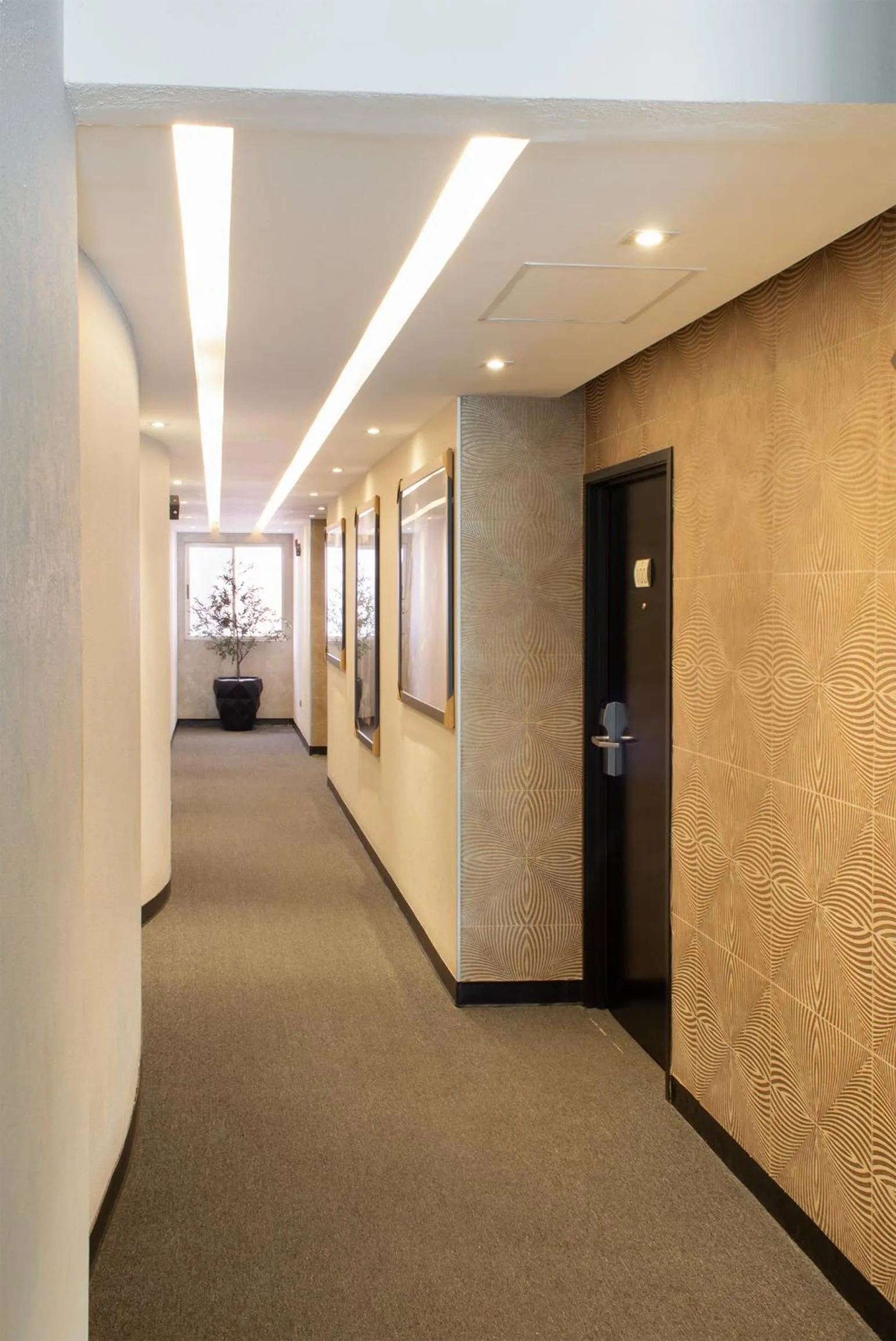 Hotel Posada San Antonio