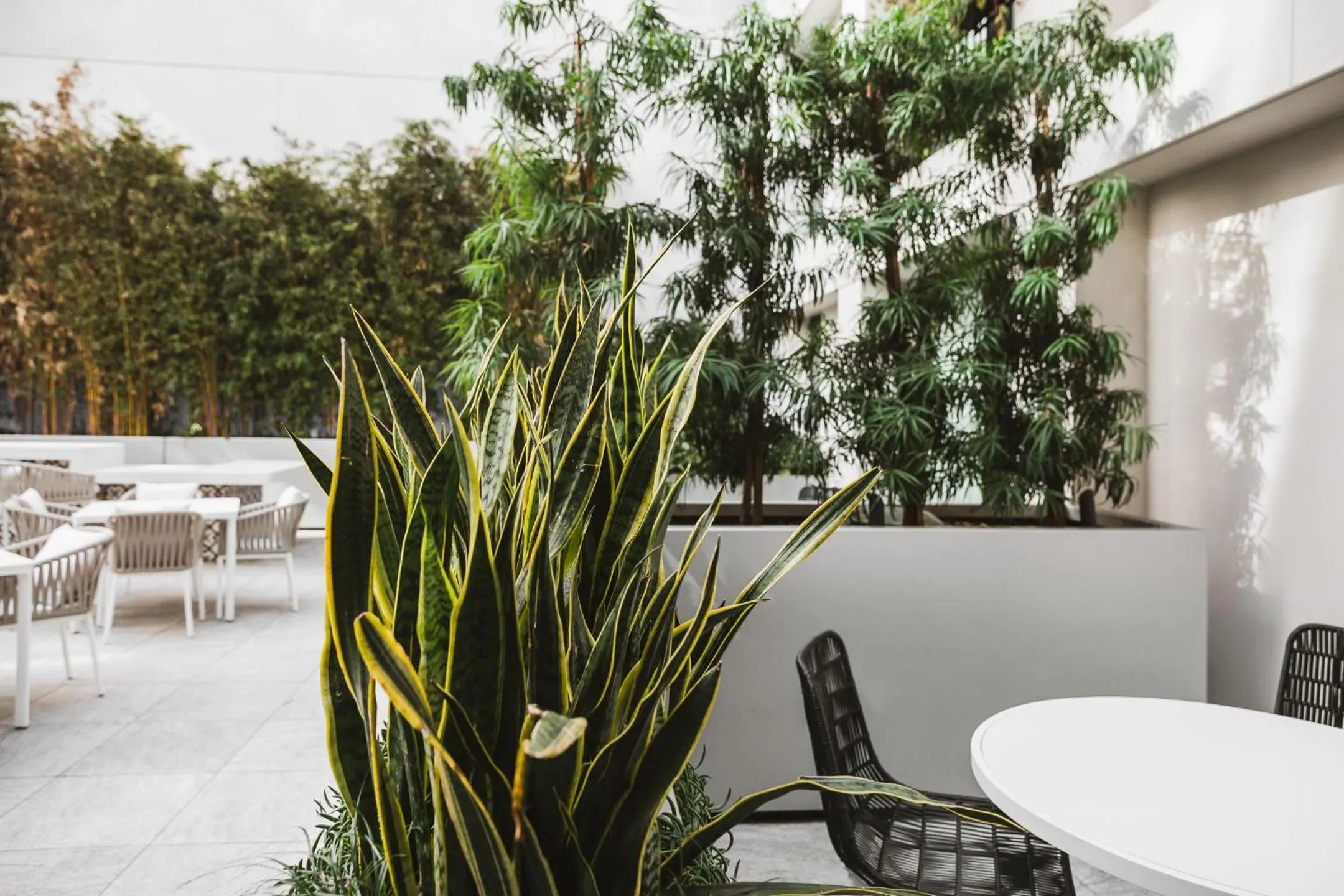 Patio in The Godfrey Hotel Hollywood