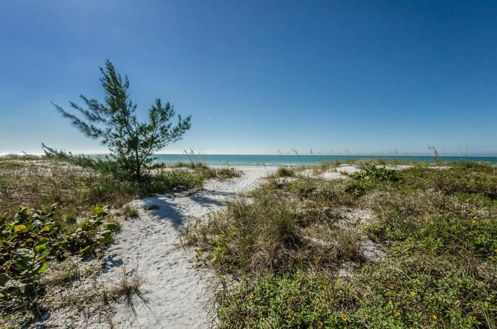 Natural landscape, Beach in The New Hotel Collection Beachfront