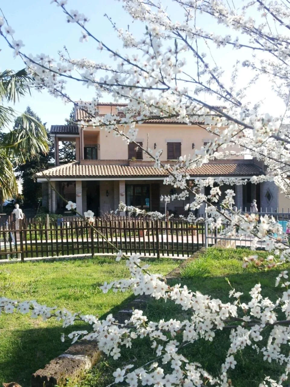 Luconi Affittacamere