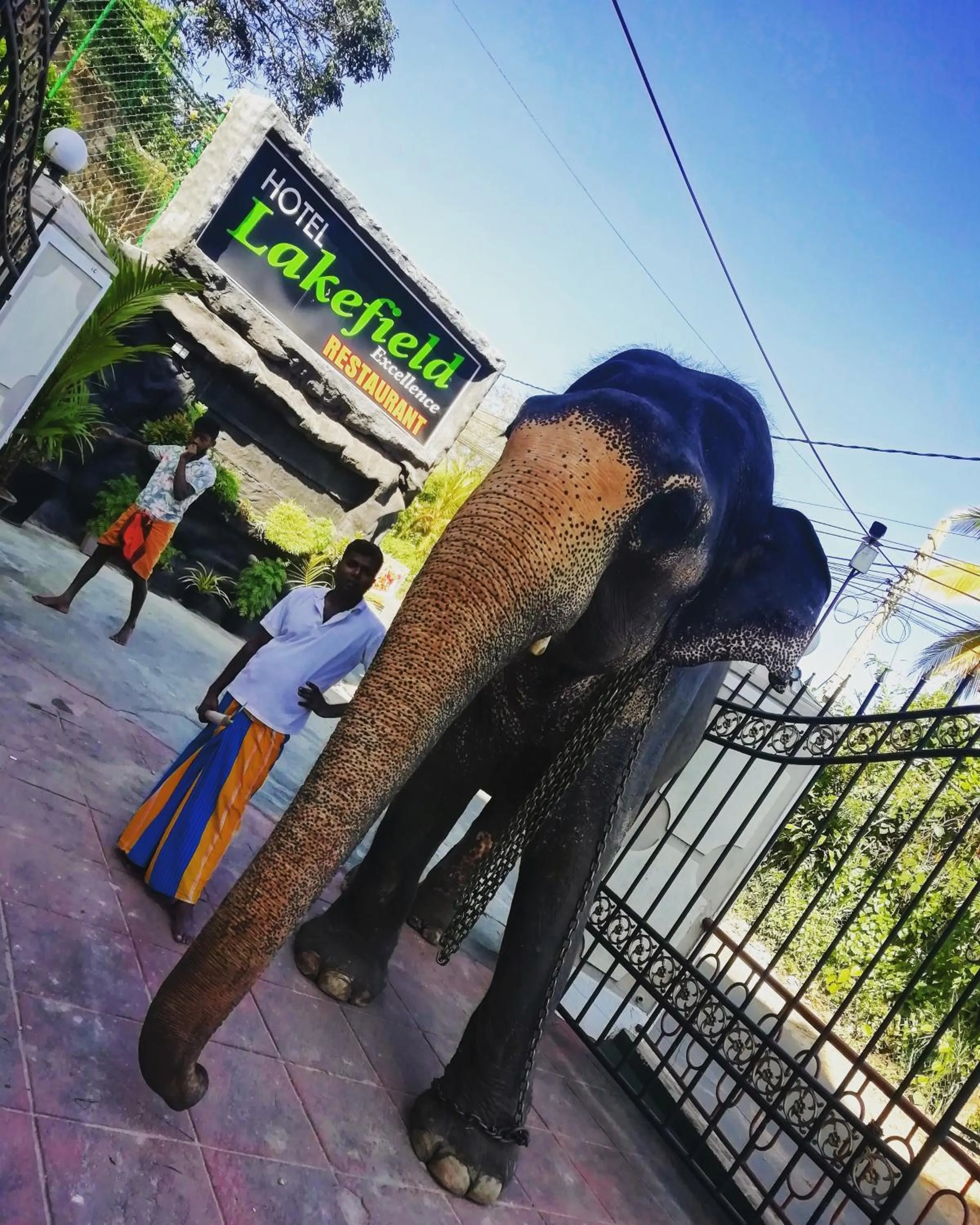 Day in Hotel Lakefield