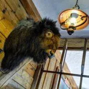 Restaurant/places to eat in Ranč Kostelany