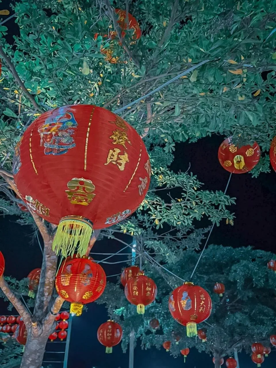 The Harbour Front Hotel