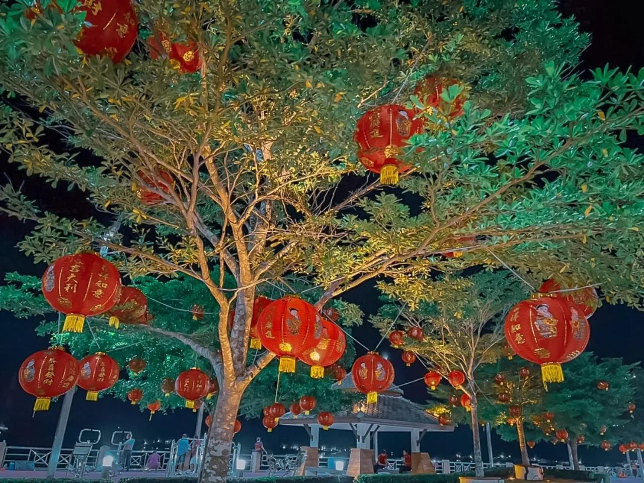 The Harbour Front Hotel