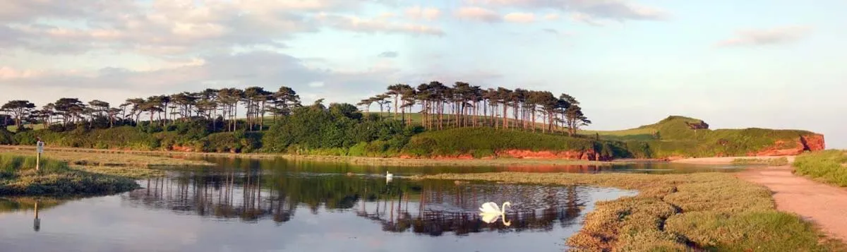 Belmont House Beer - Adults Only - Free Parking