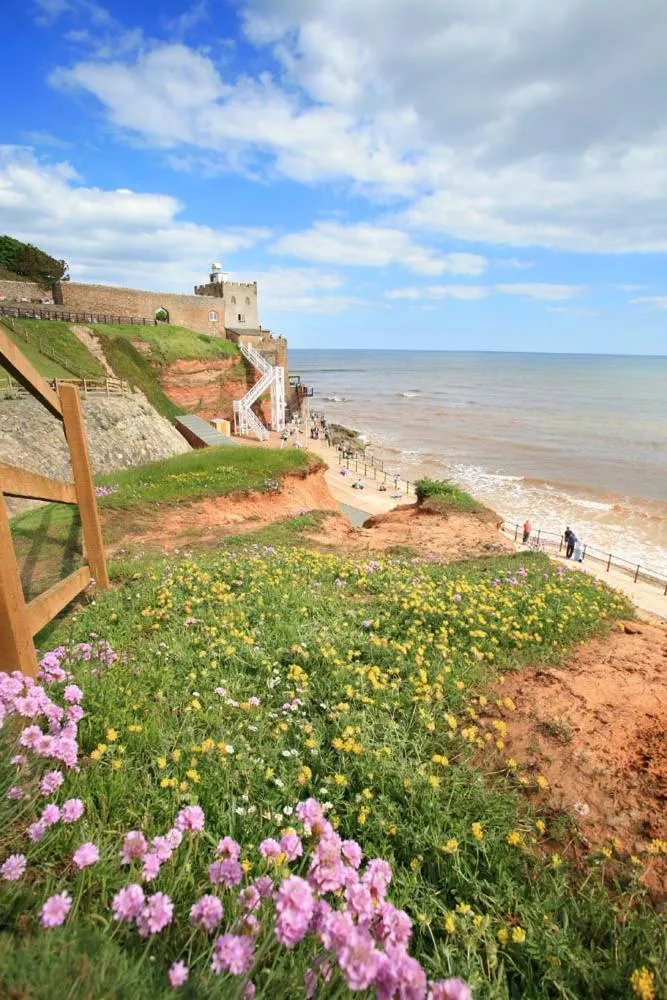 Belmont House Beer - Adults Only - Free Parking