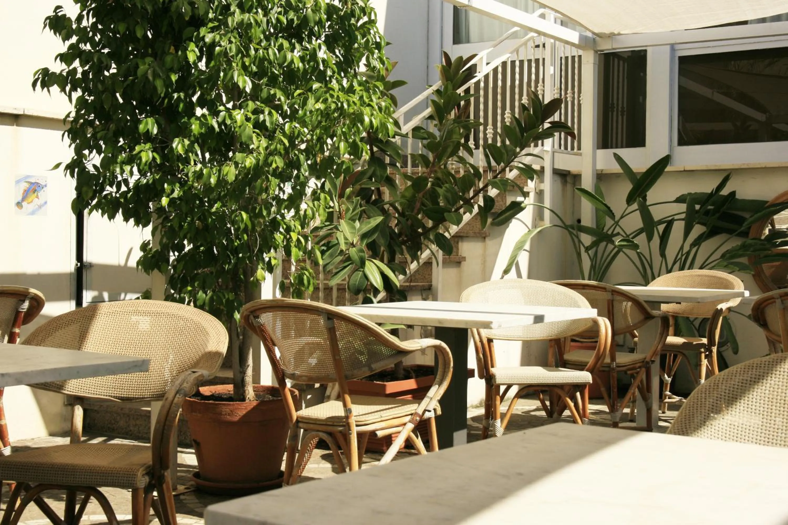 Patio in Hotel Sirenetta