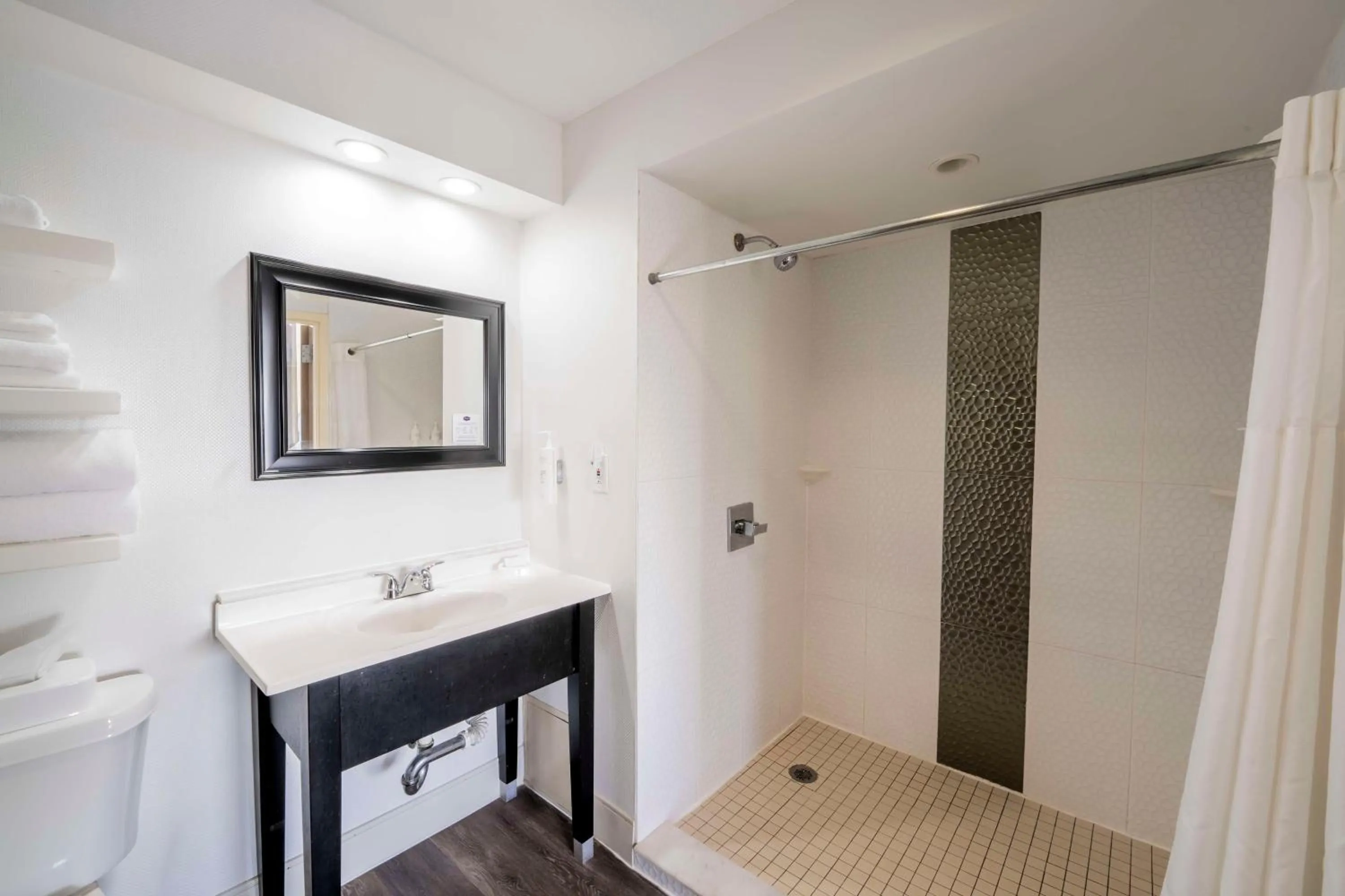 Bathroom in Hampton Inn St Augustine US1 North