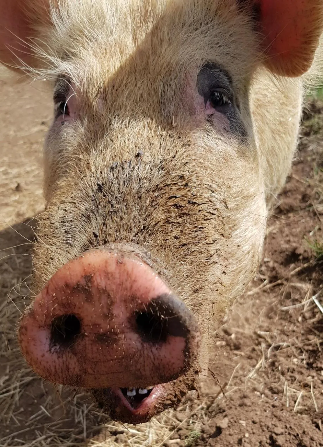 View (from property/room) in Rooks Edge