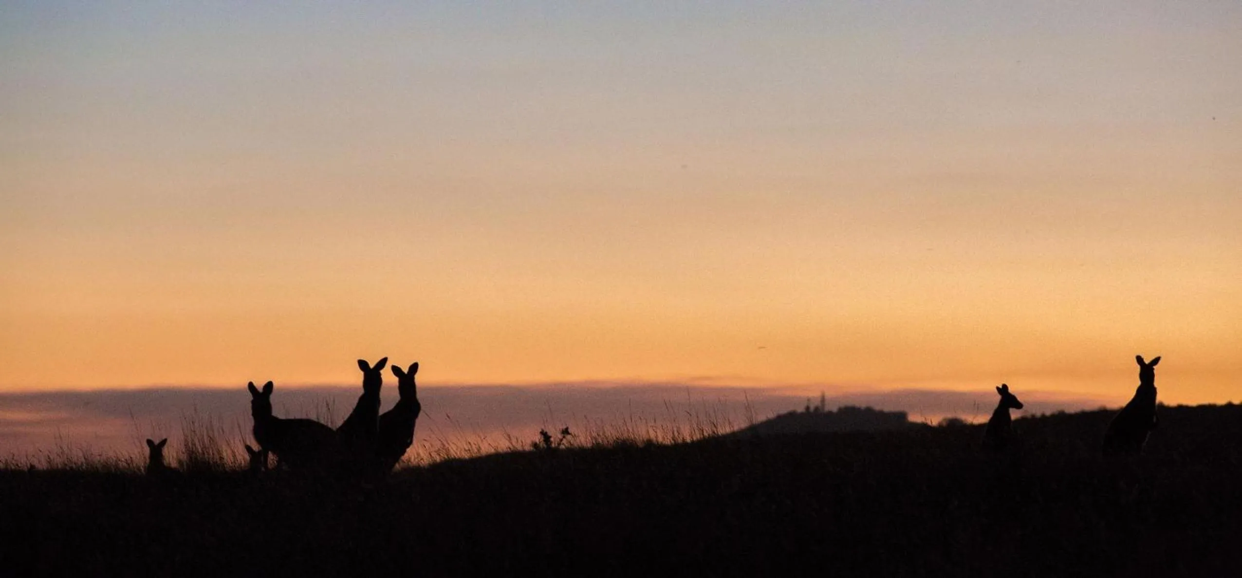 View (from property/room) in Rooks Edge