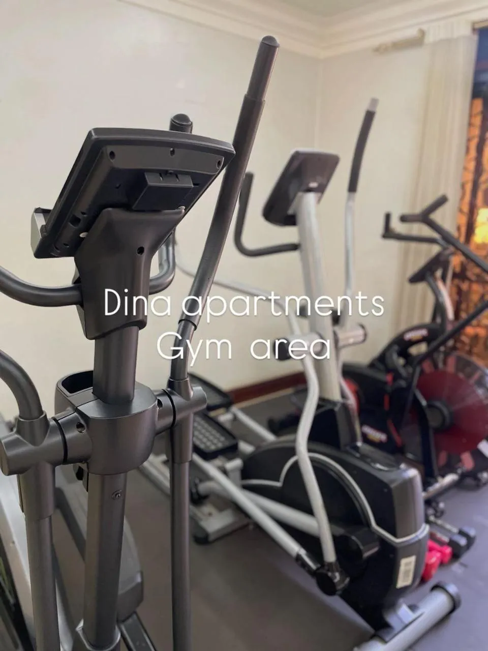 Fitness centre/facilities in Dina Apartments