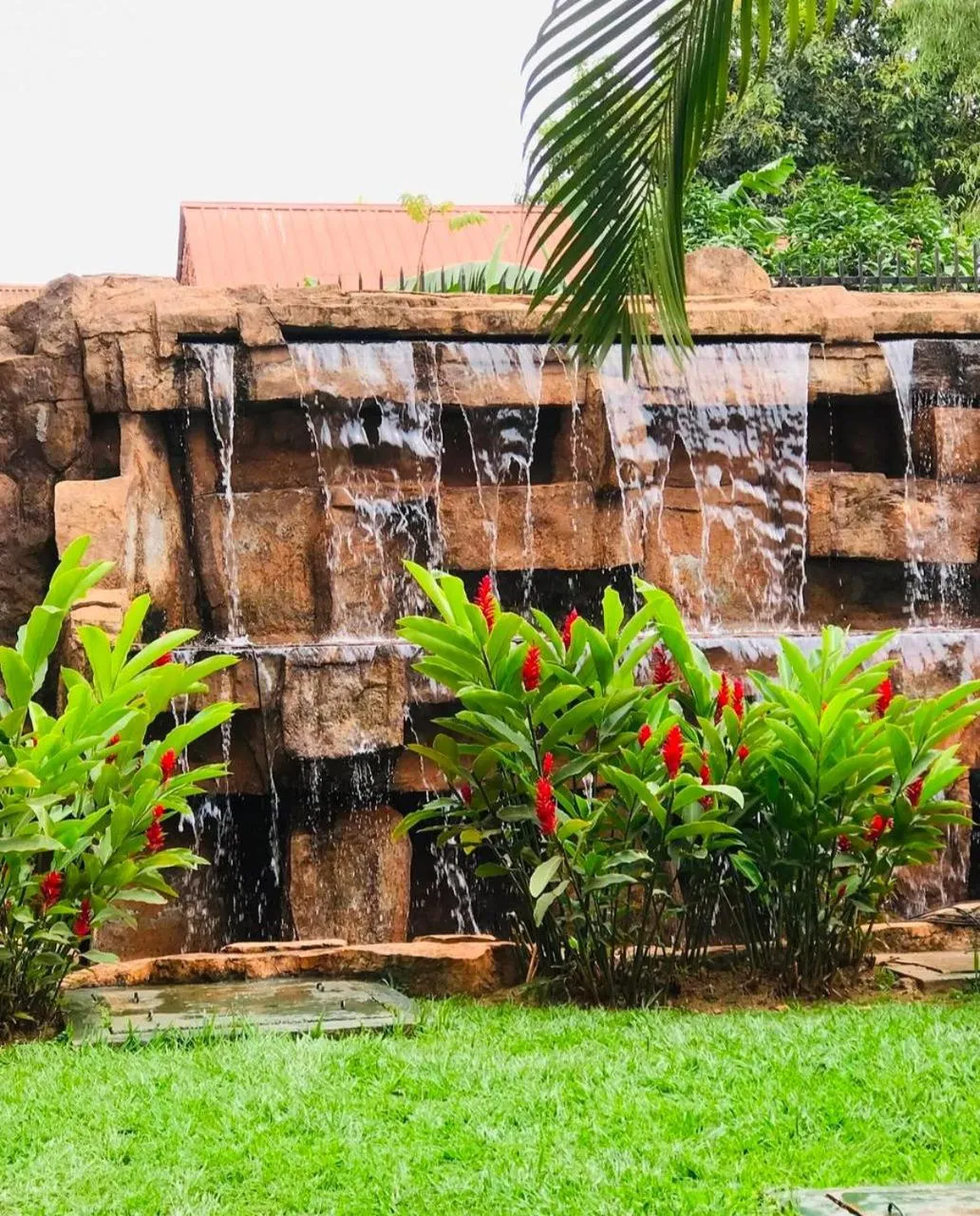 Garden view in Dina Apartments