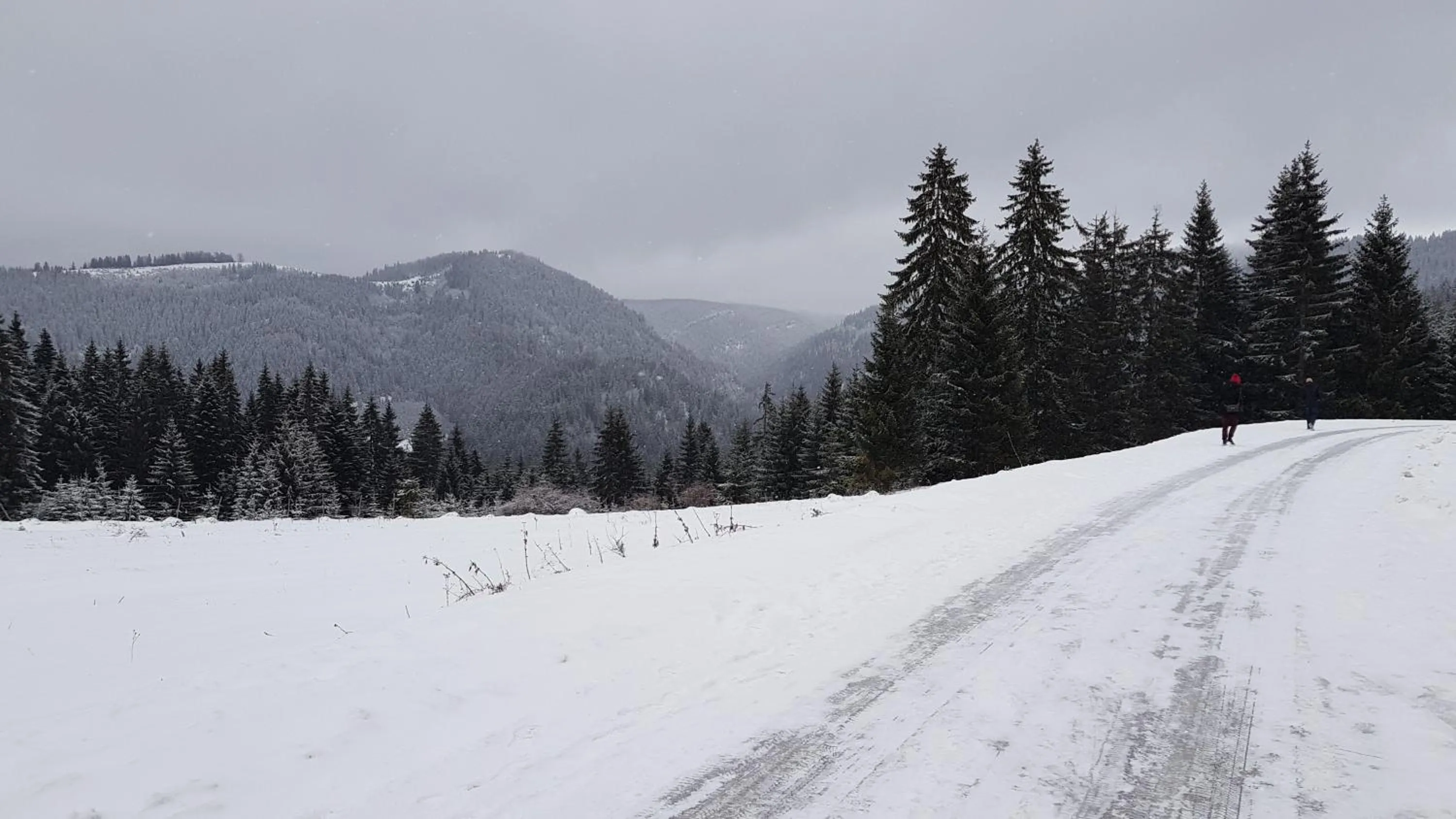Skiing in Apartments Vlašić