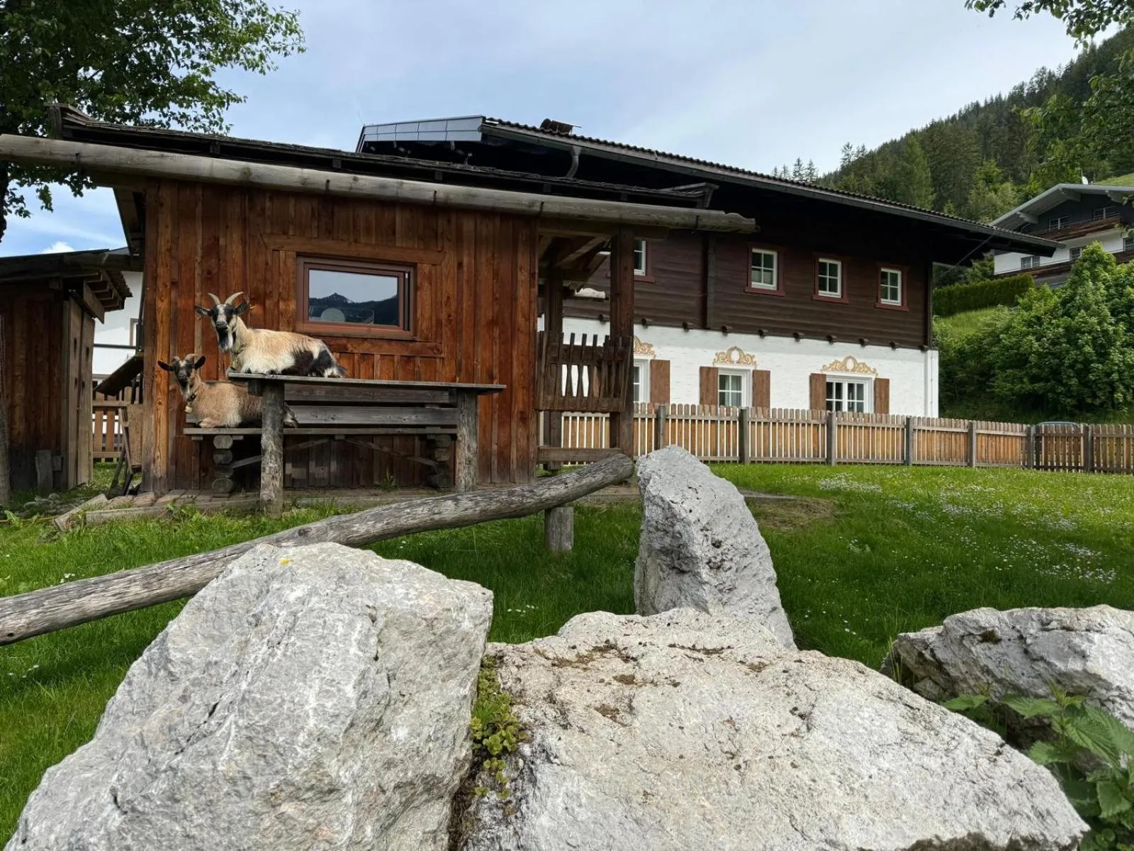 Natural landscape in Appartements Zahnleiten