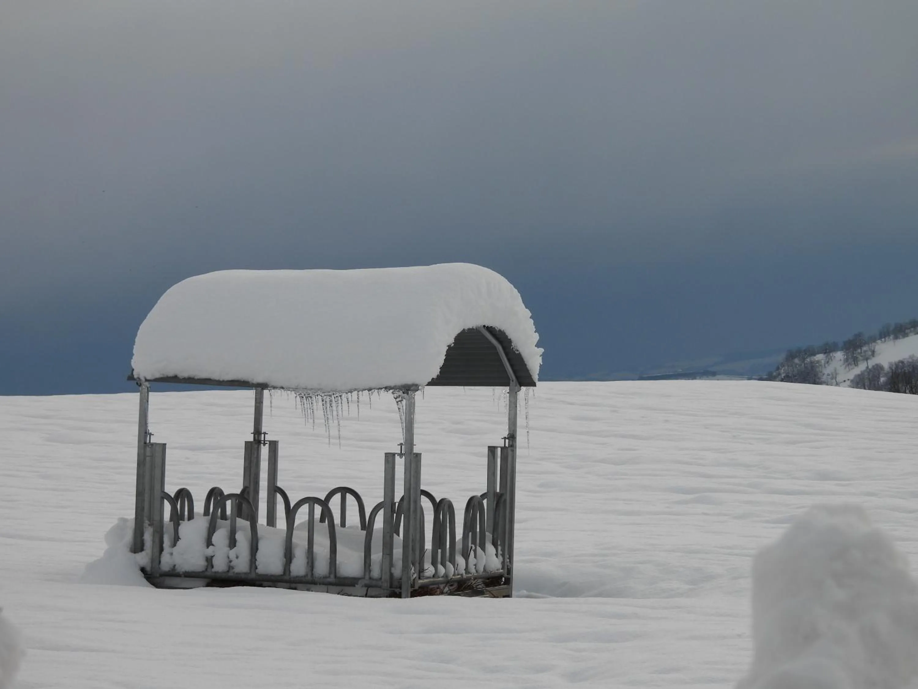 Natural landscape in Le Figarelou