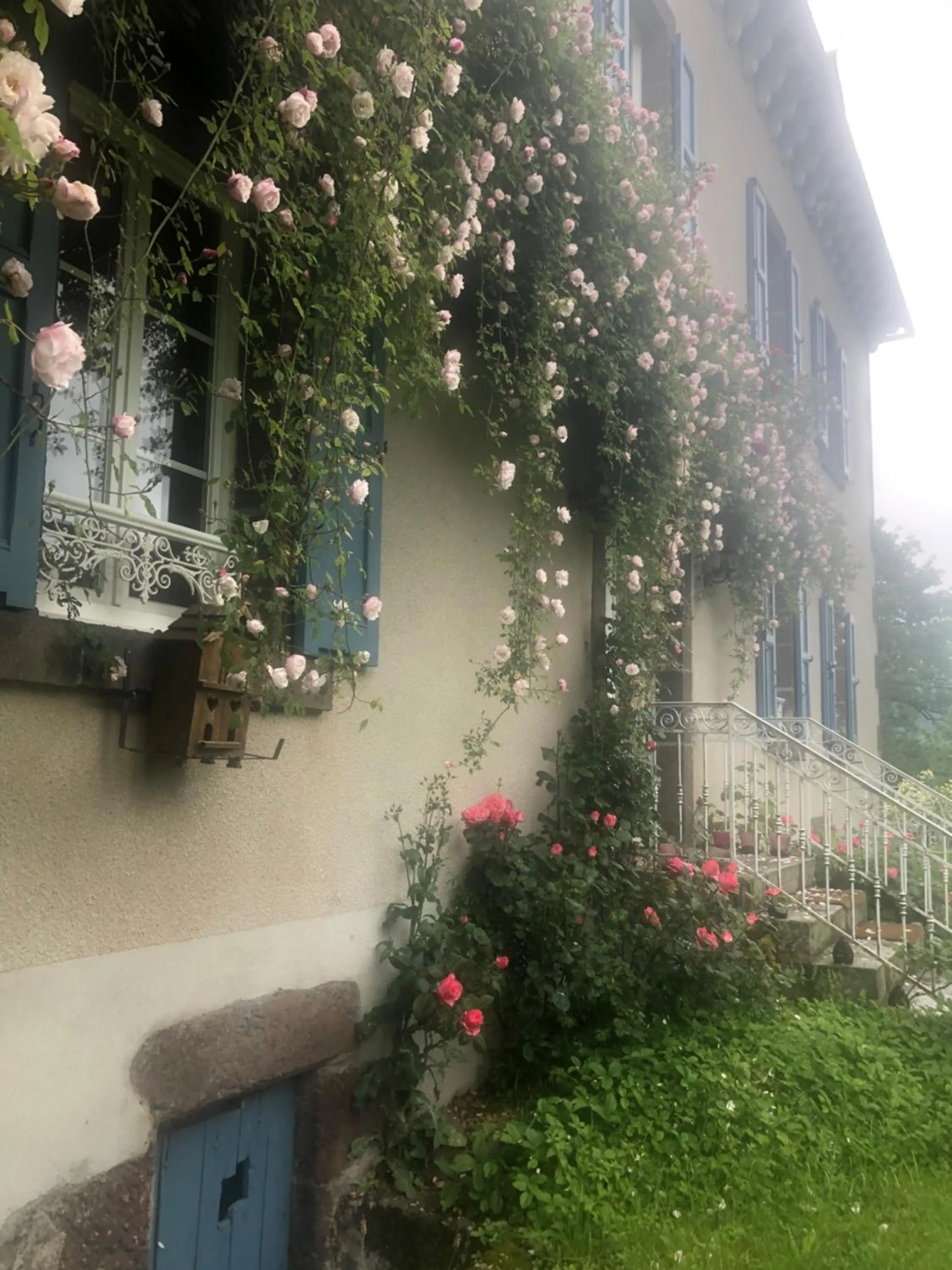 Facade/entrance in Le Figarelou