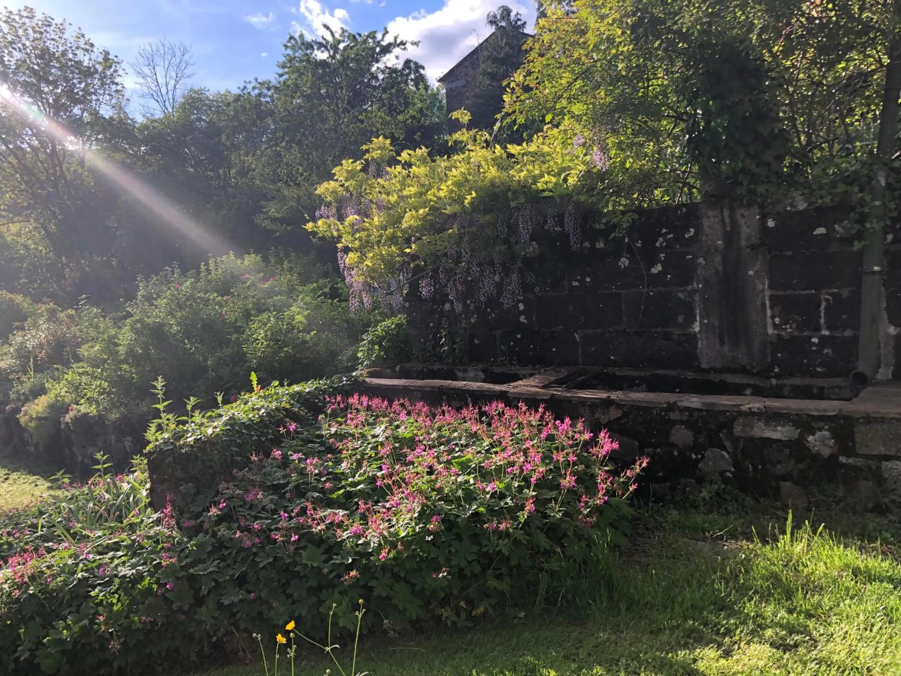 Natural landscape in Le Figarelou