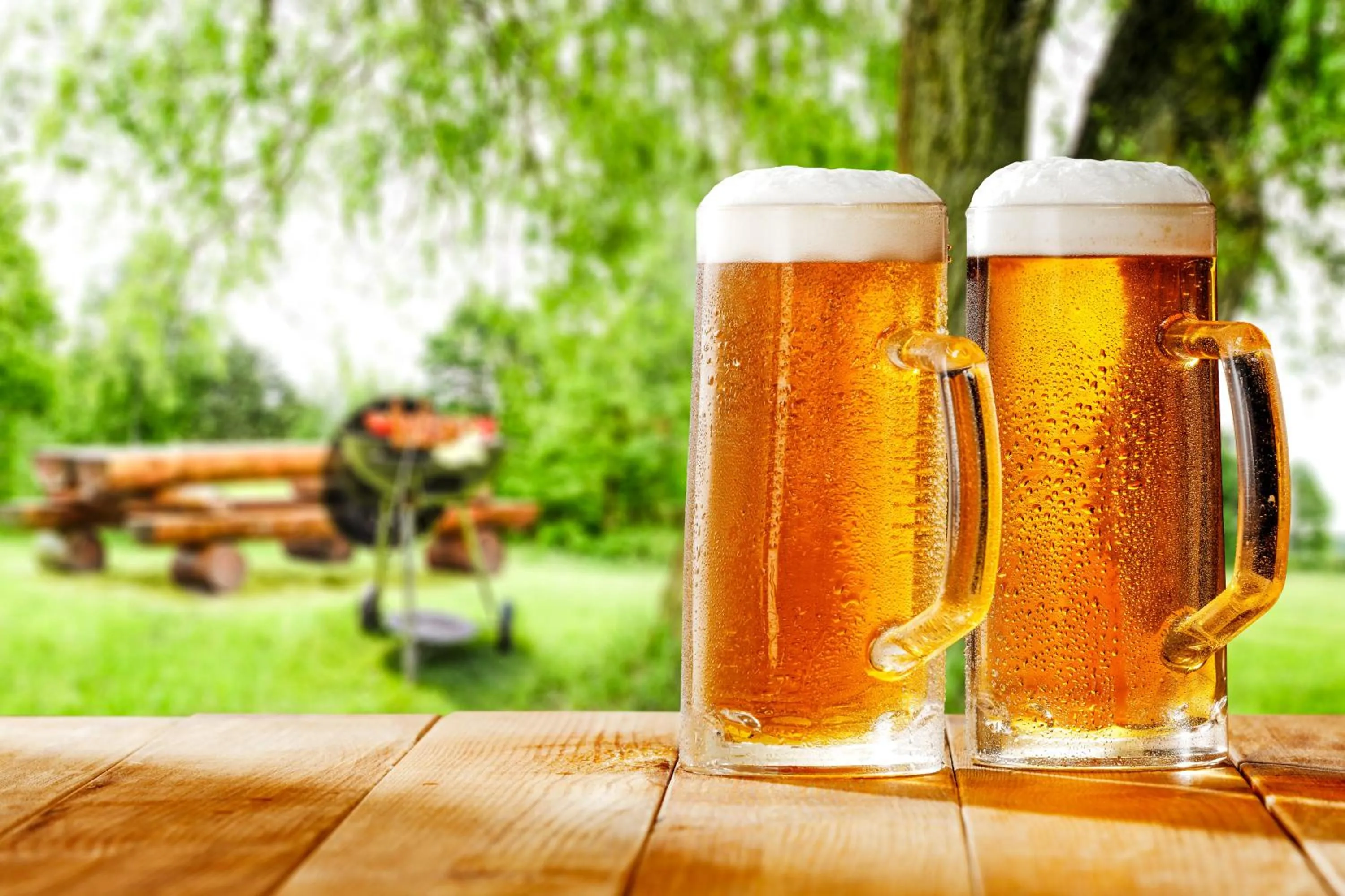 Garden in Landhotel Fernblick