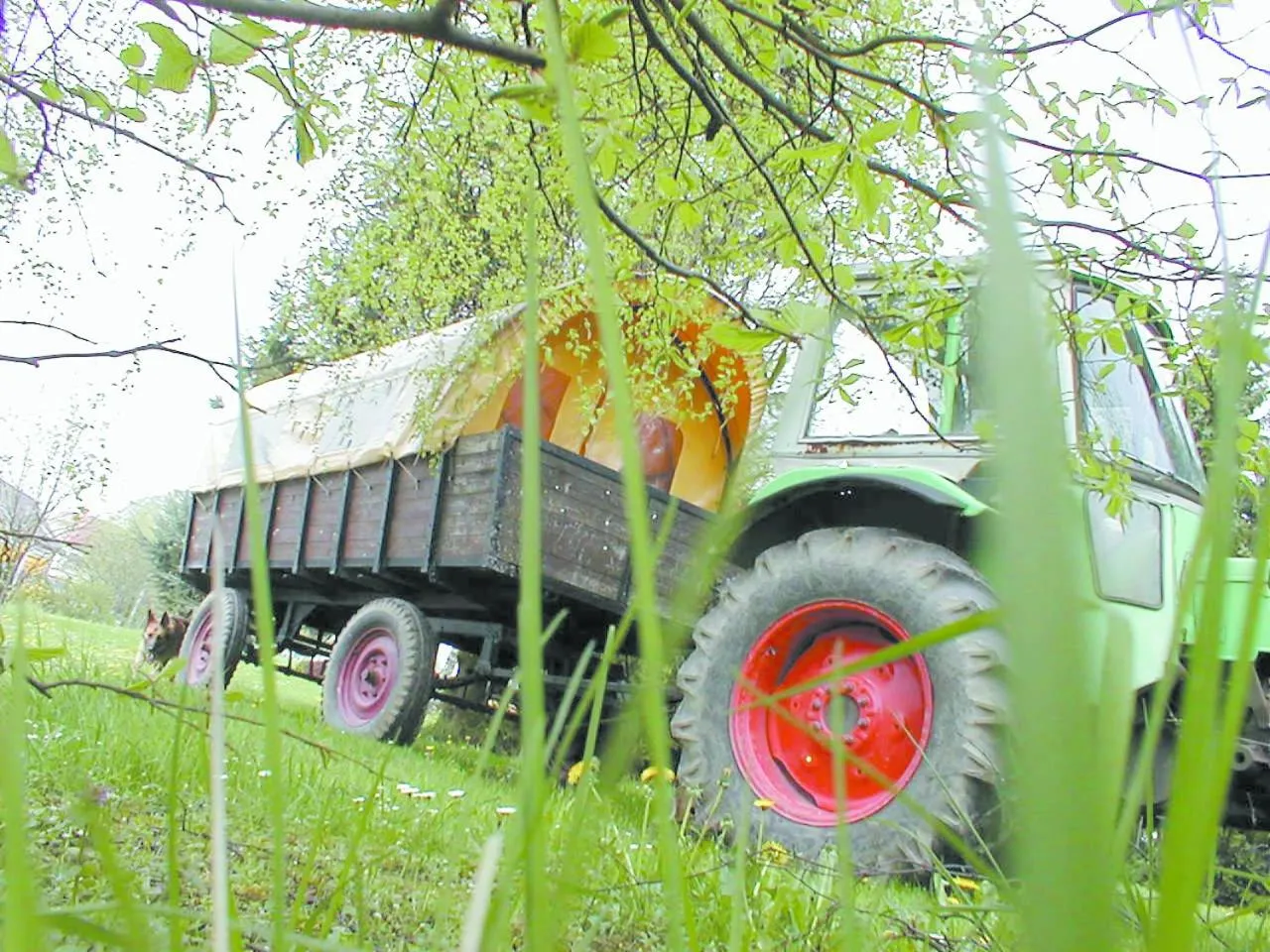 Other in Landhotel Fernblick