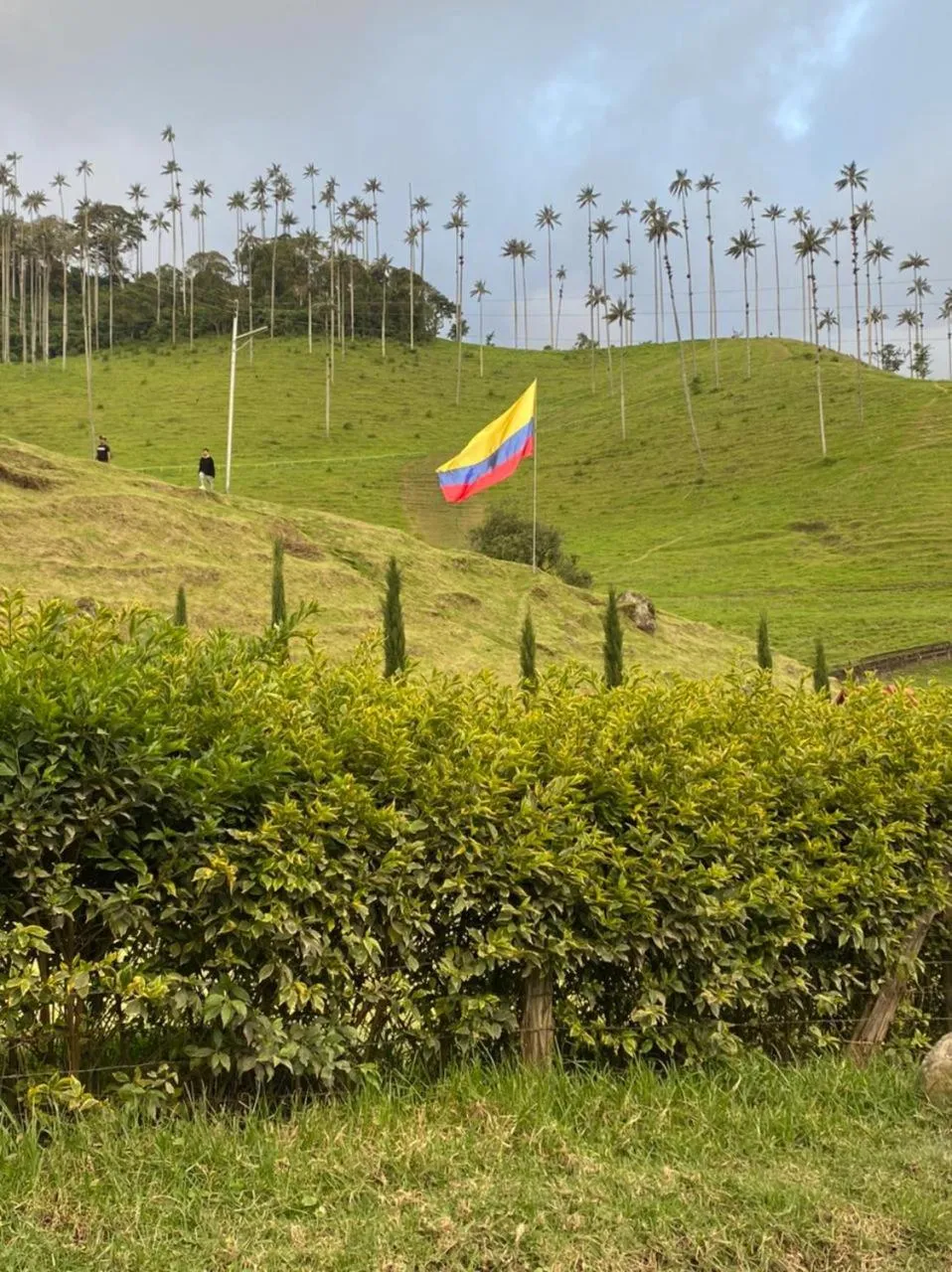 Nearby landmark in Hotel Mirador de Boquia Salento