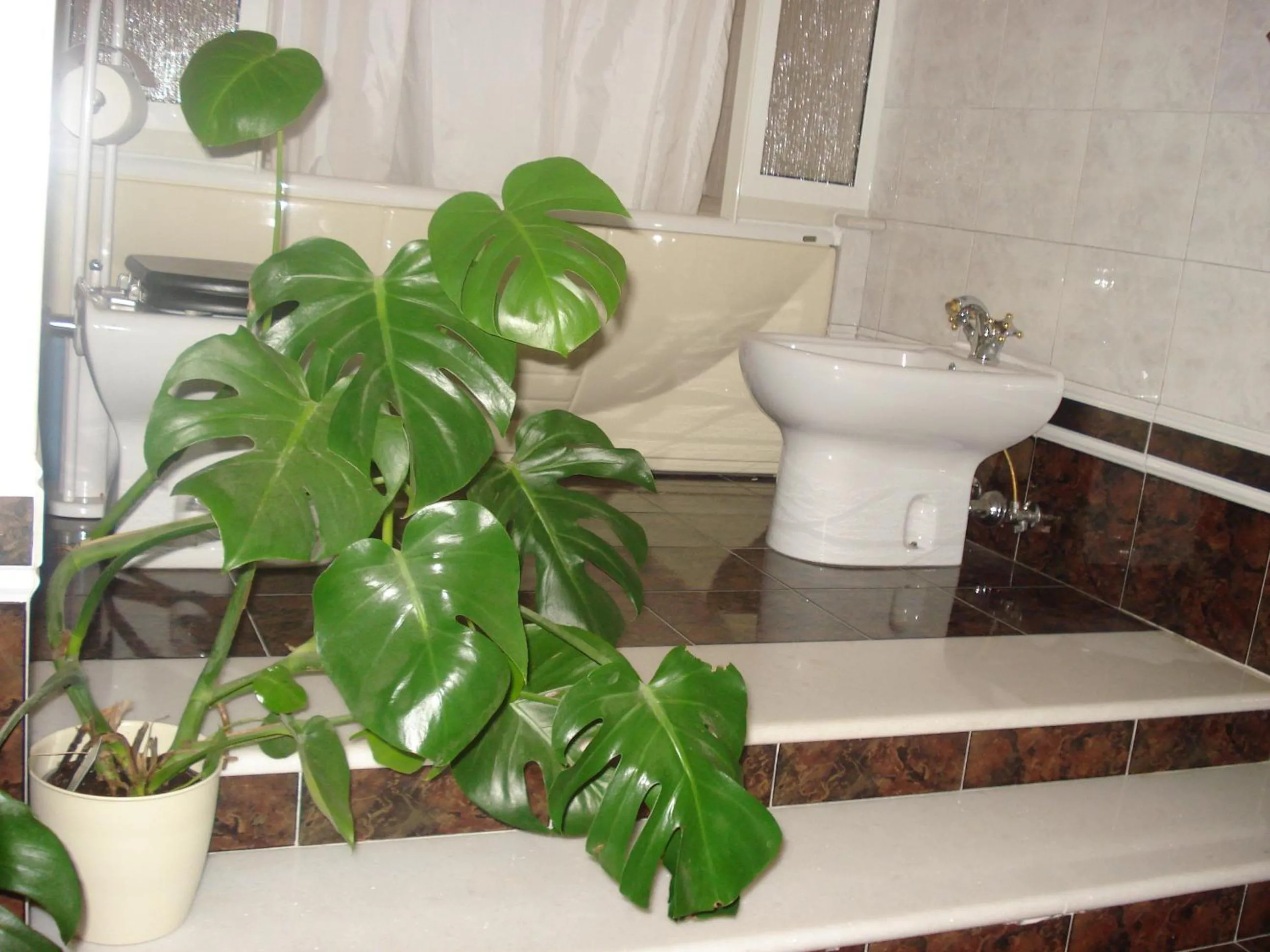 La Mia Casa per Tutti