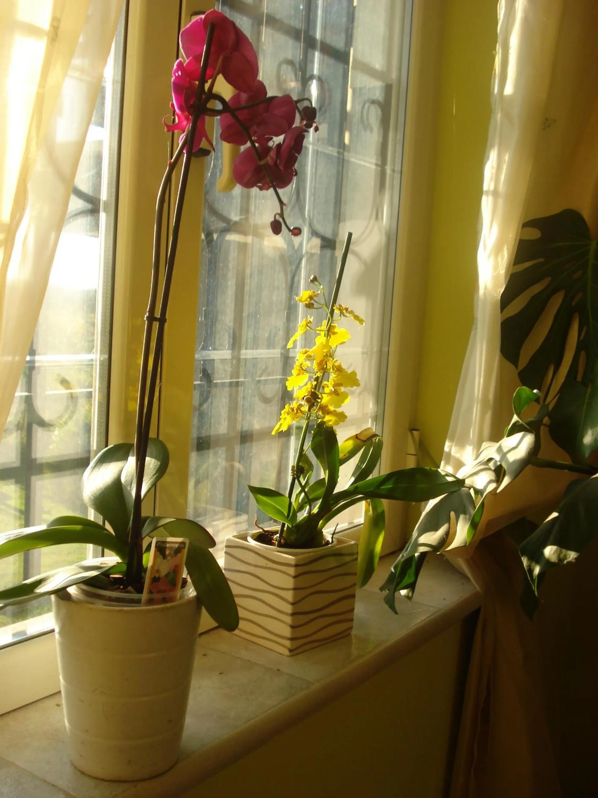 La Mia Casa per Tutti