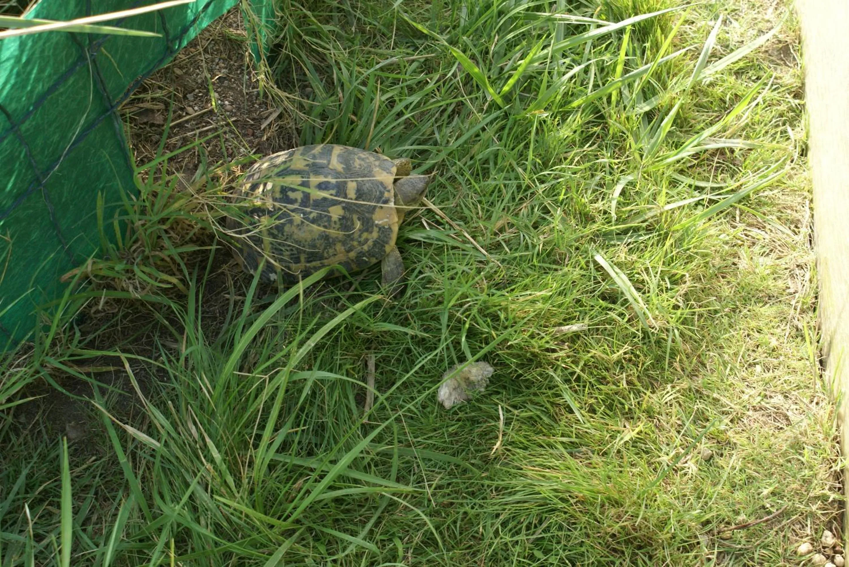 La Mia Casa per Tutti