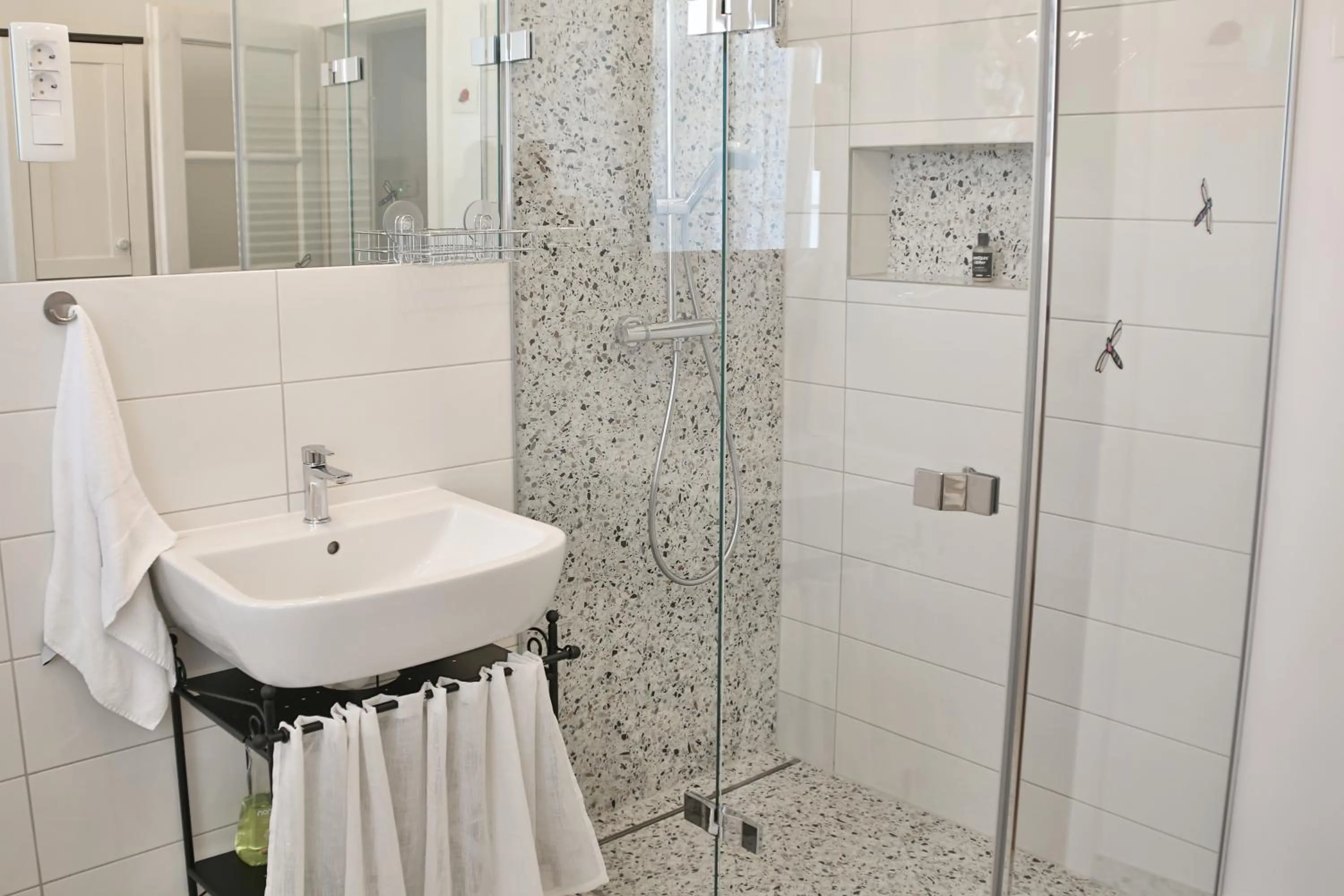 Shower in Historic Mexico Building Apartment